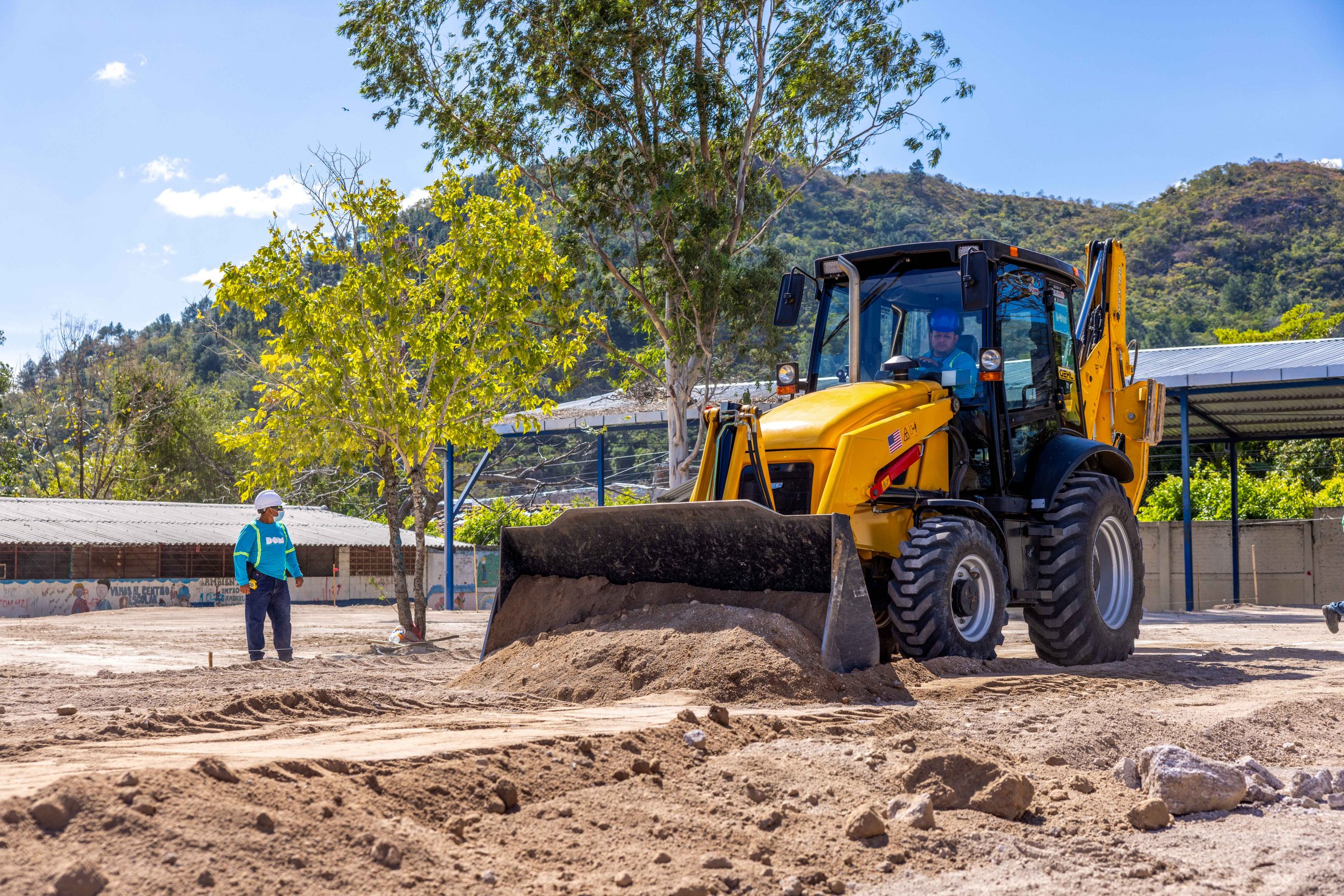 Imagen de la galería