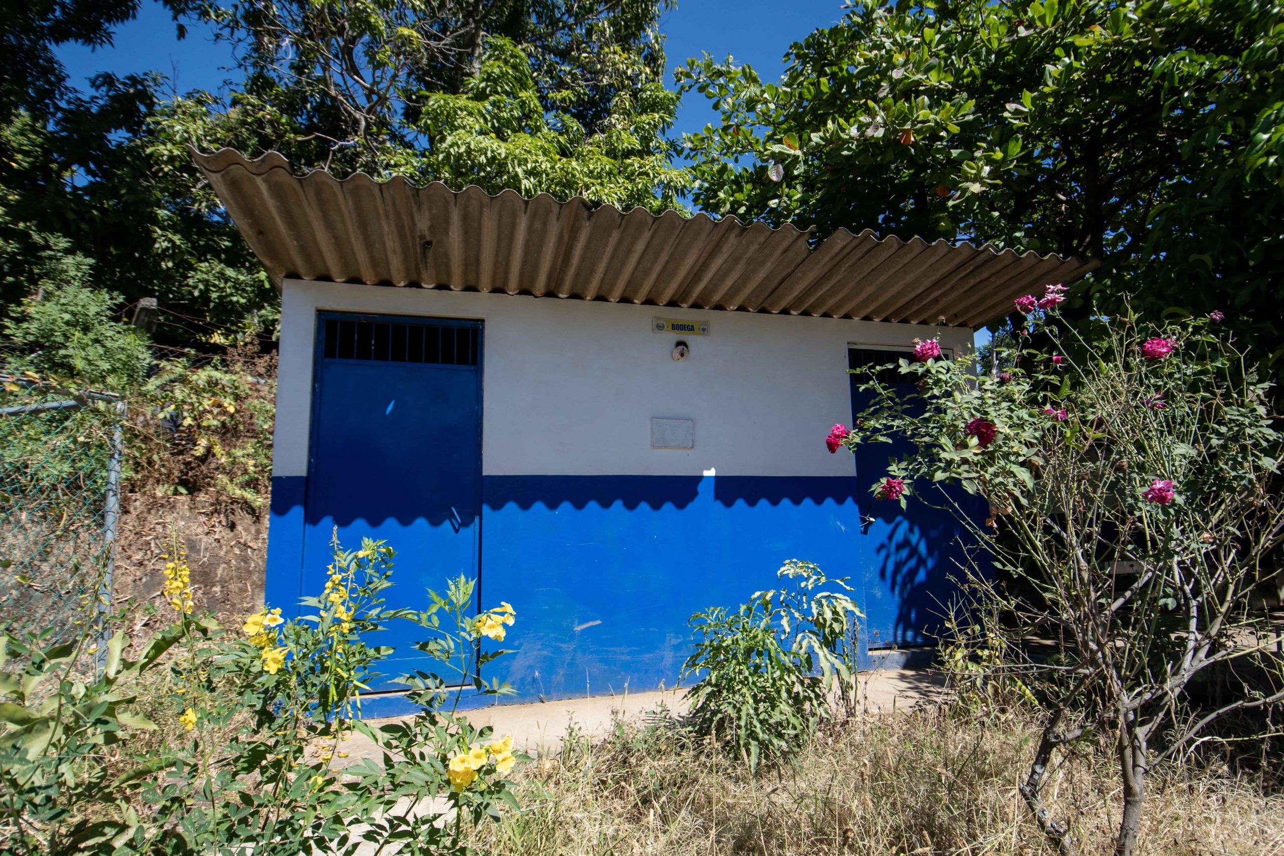 Imagen estado anterior