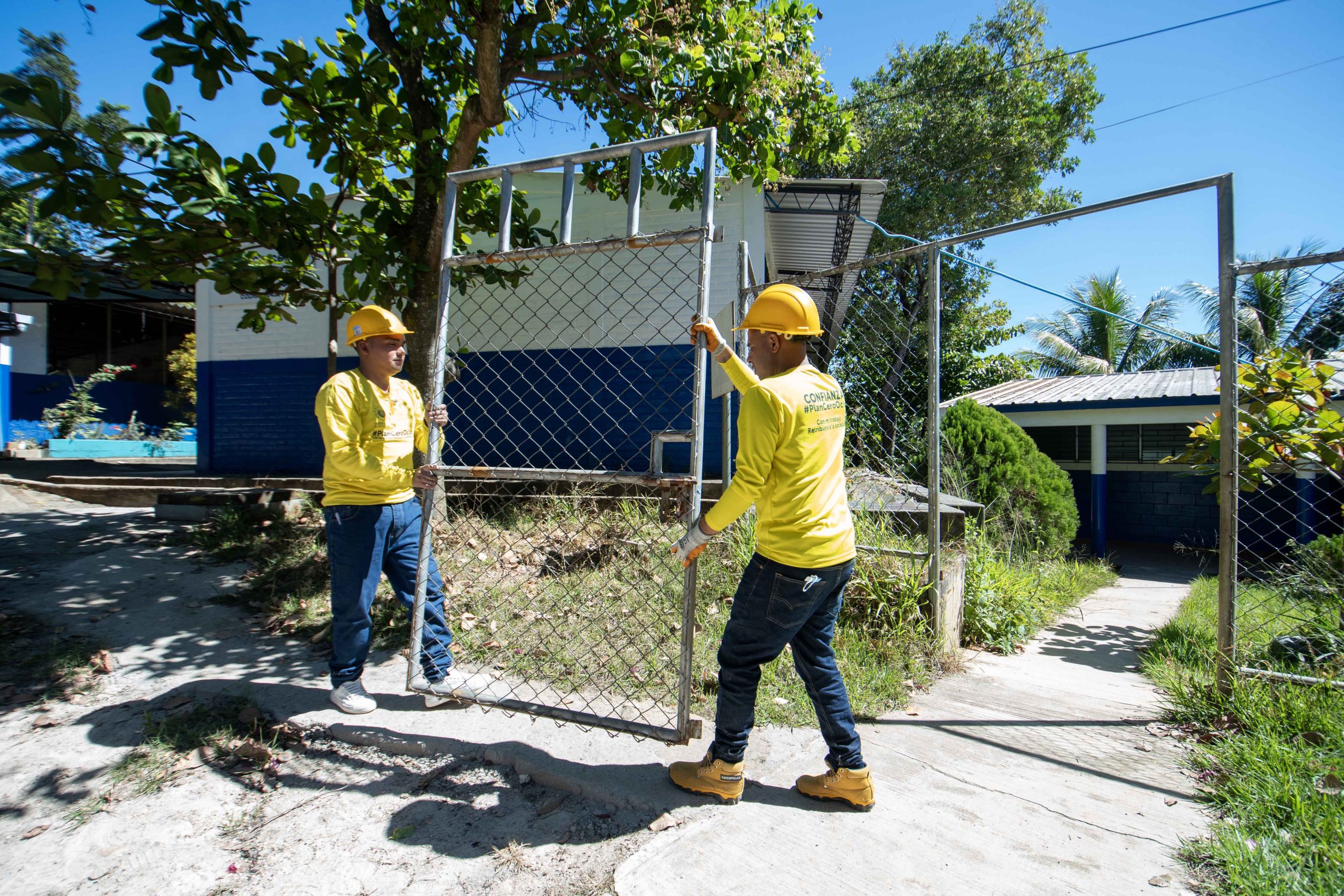 Imagen de la galería