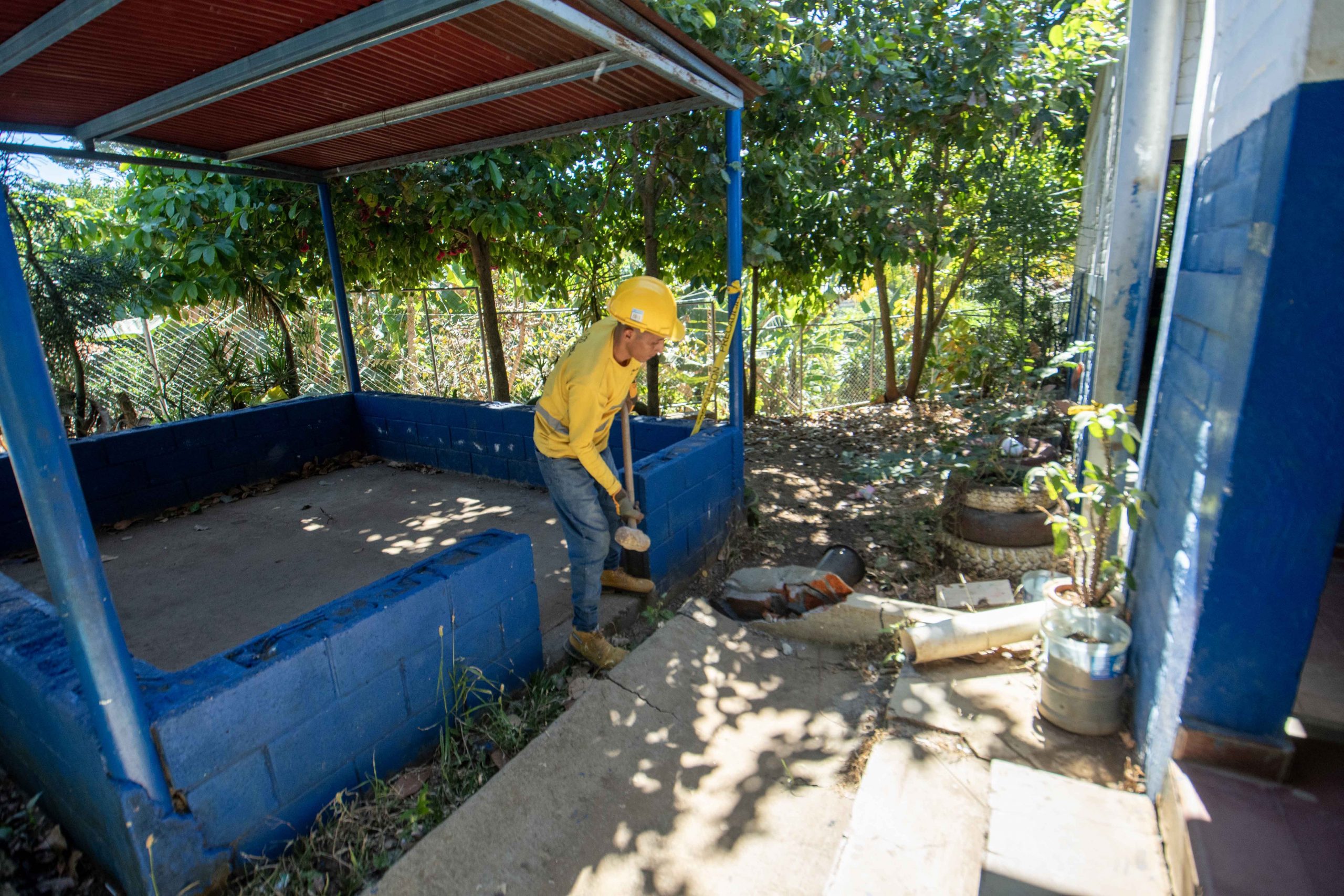 Imagen de la galería