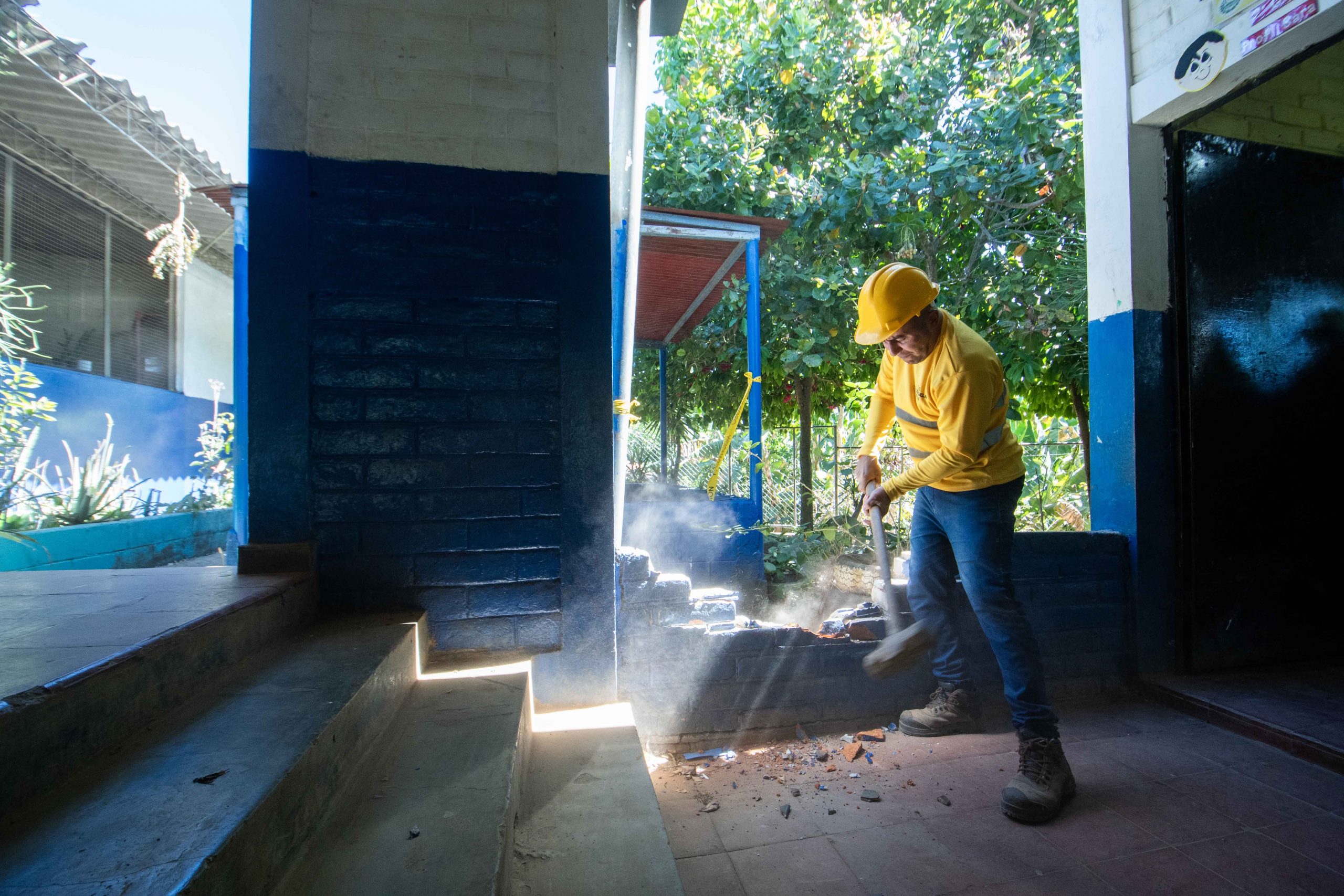 Imagen de la galería