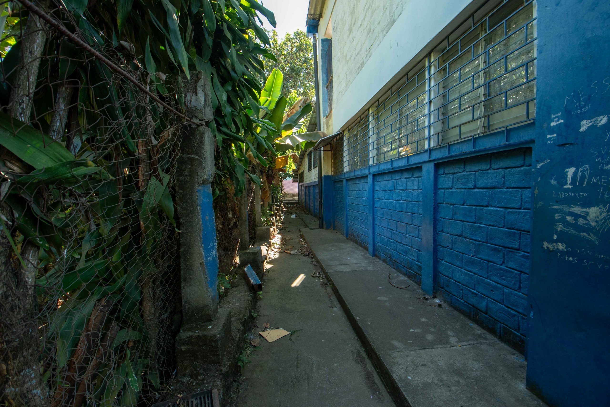 Imagen estado anterior