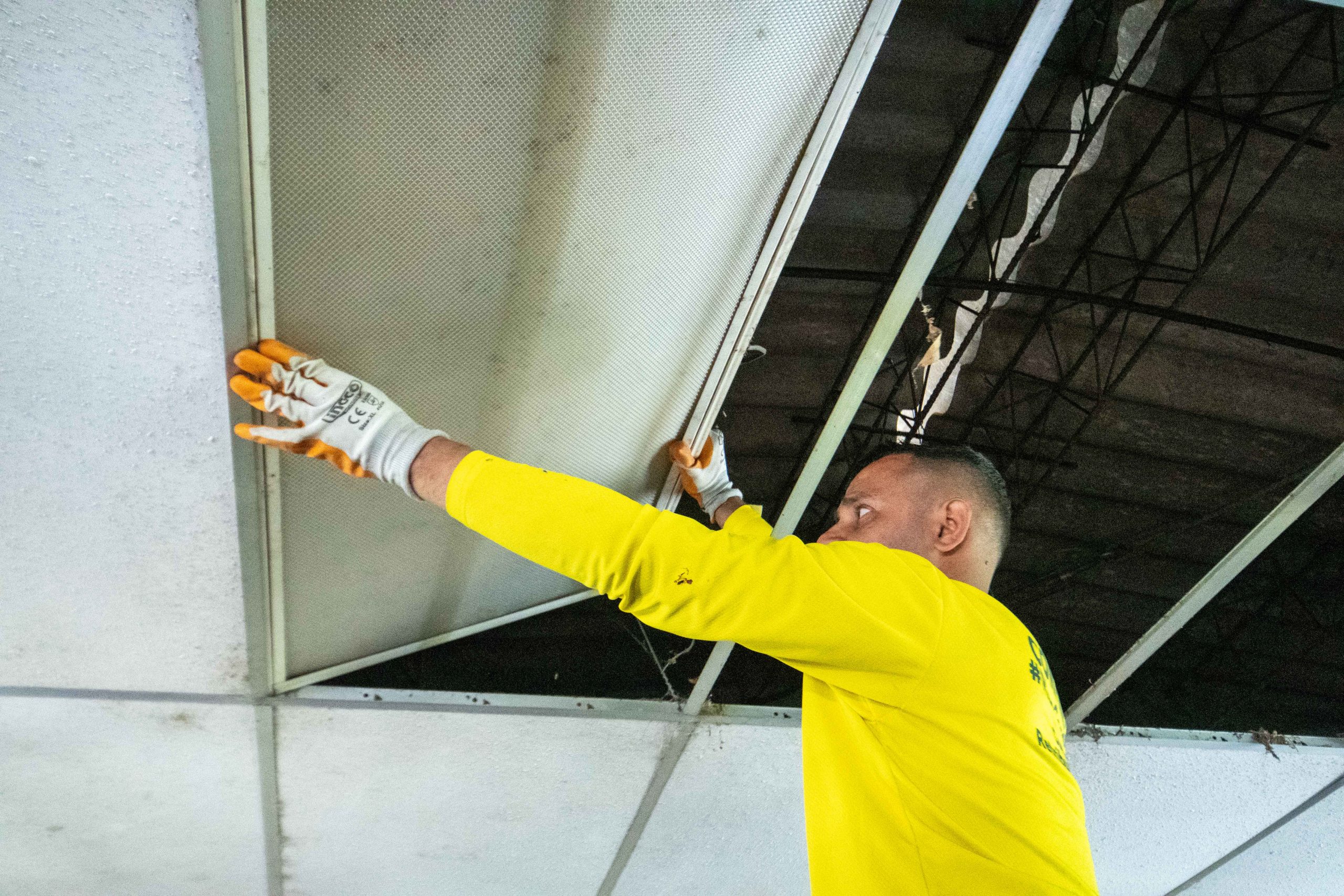 Imagen de la galería