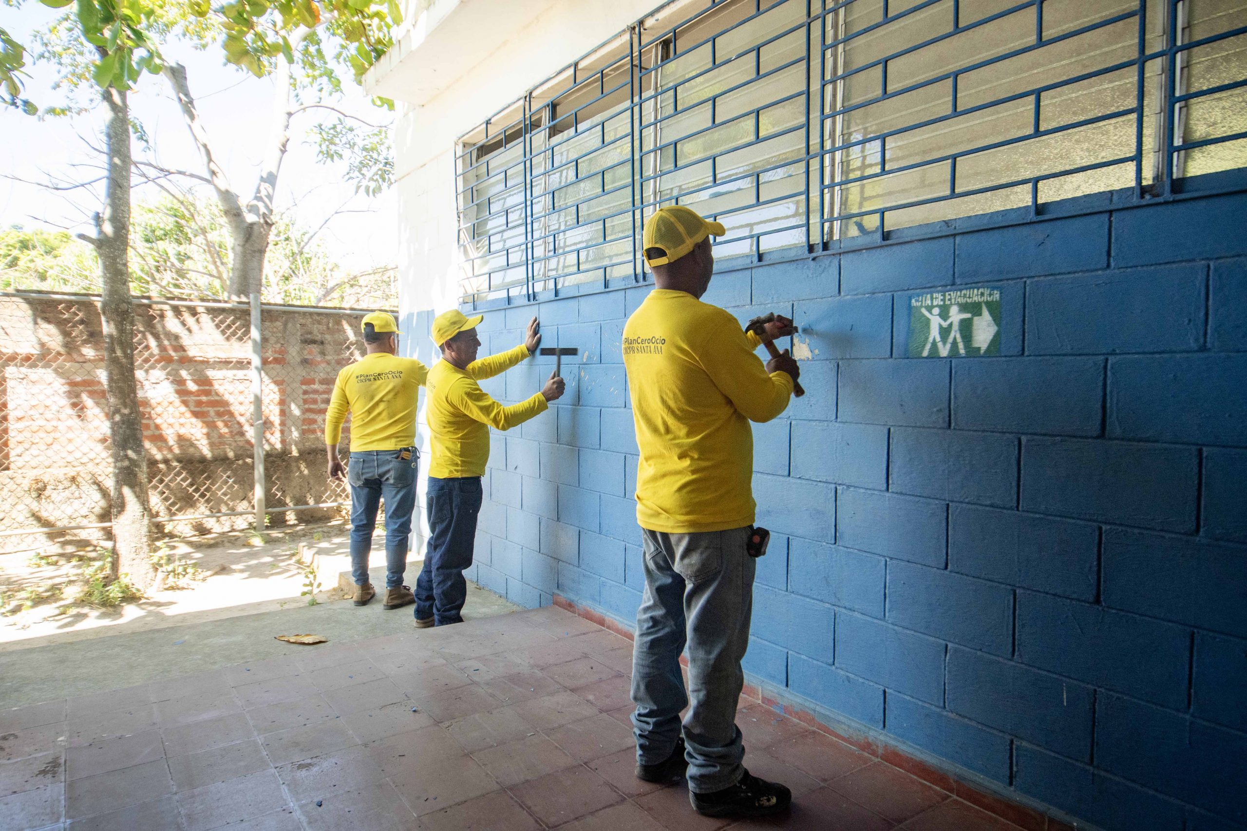 Imagen de la galería