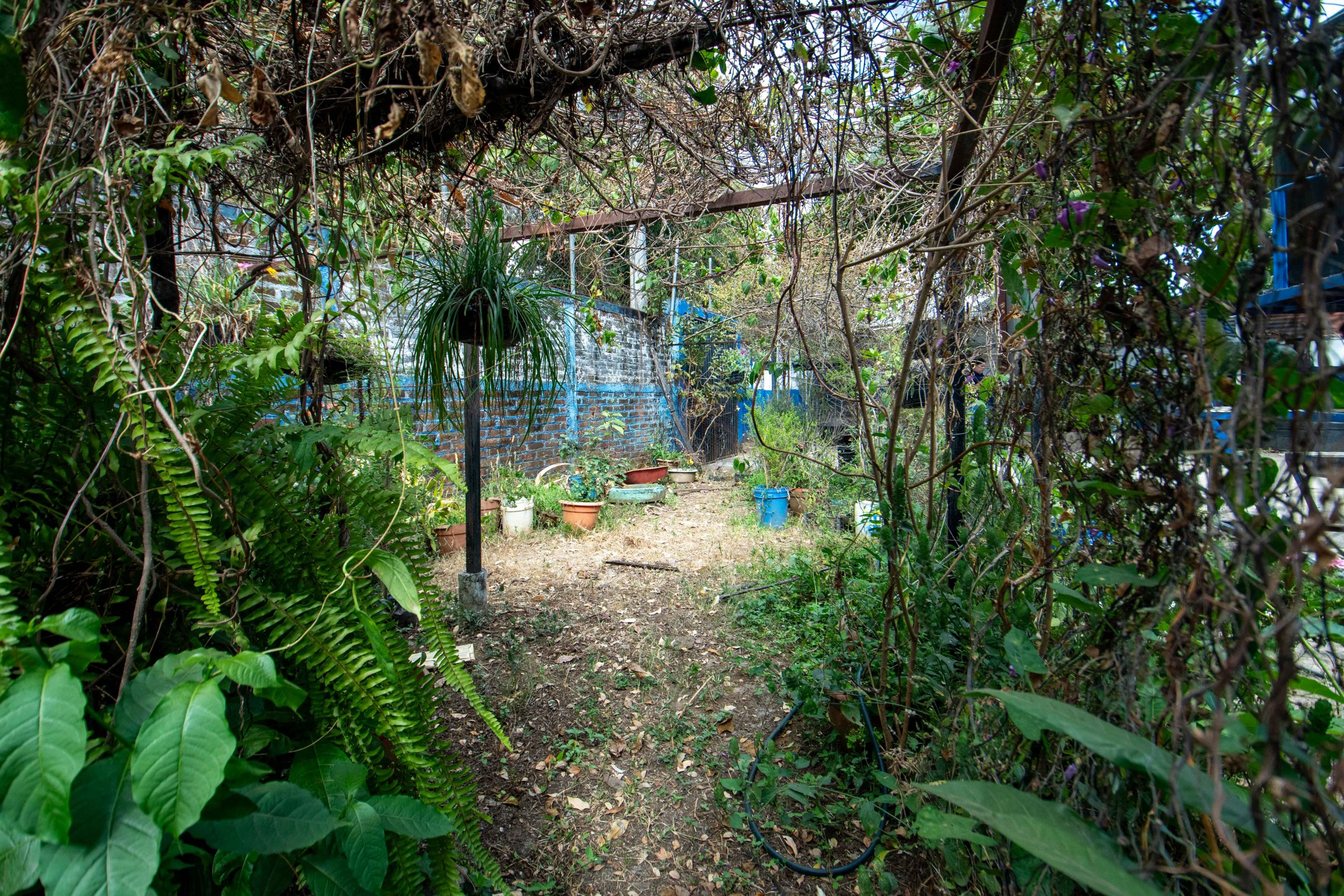 Imagen estado anterior