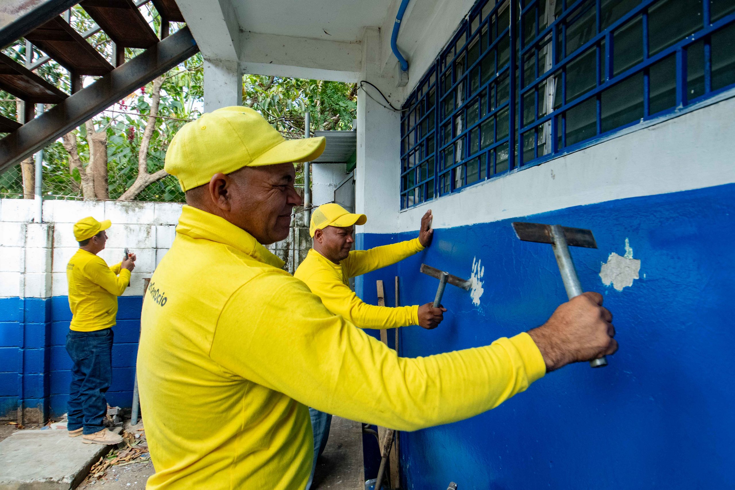 Imagen de la galería