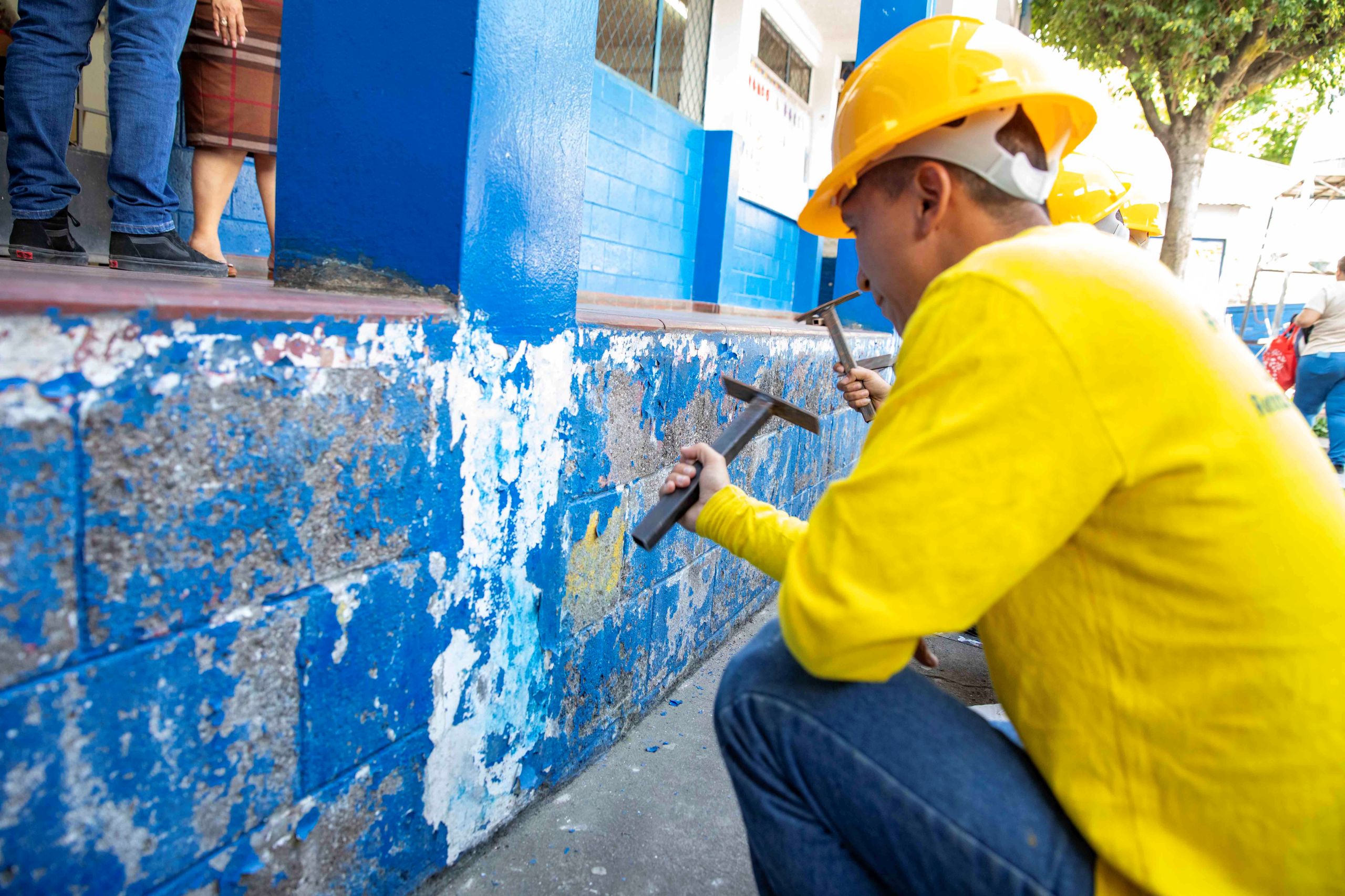 Imagen de la galería