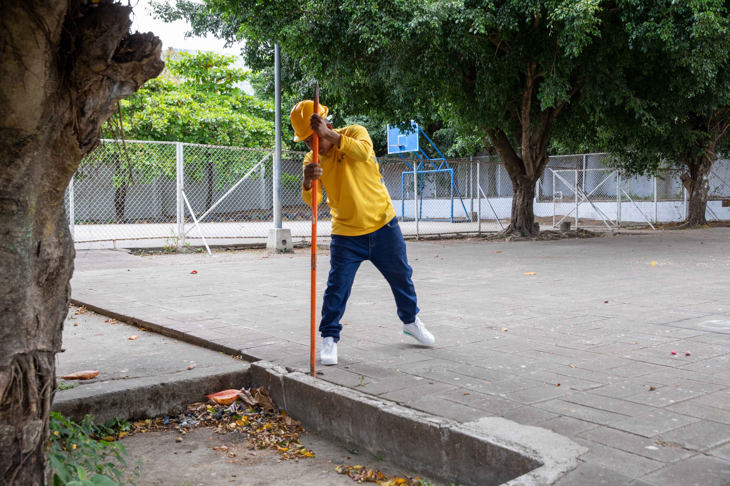 Imagen de la galería