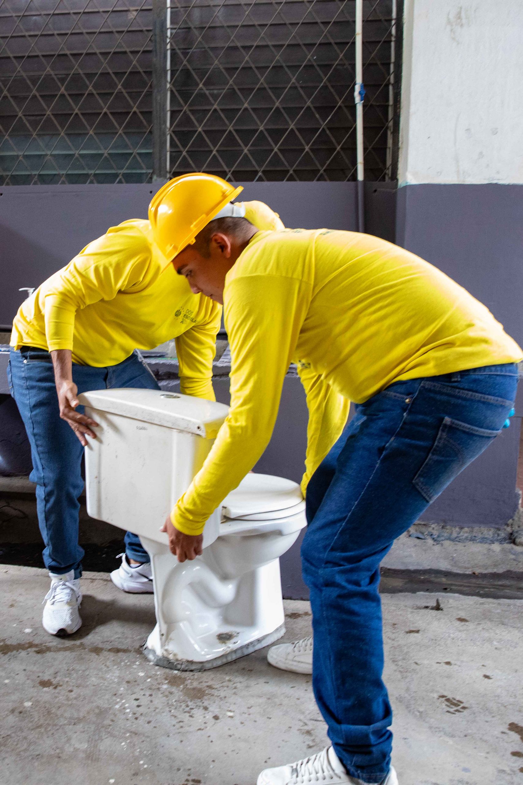 Imagen de la galería