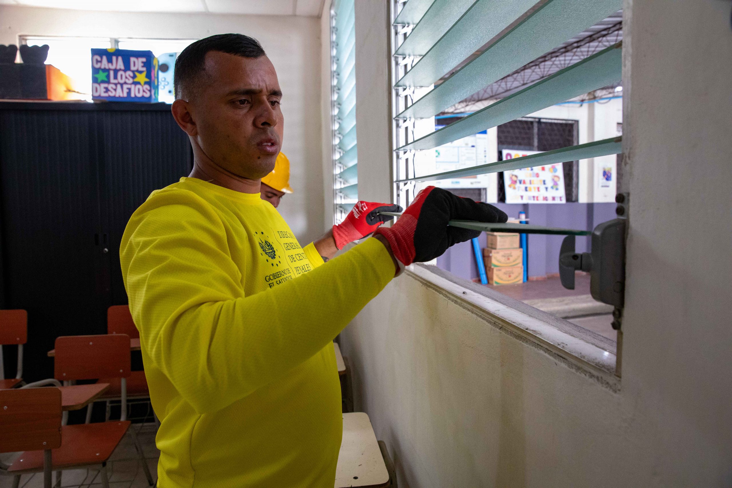 Imagen de la galería