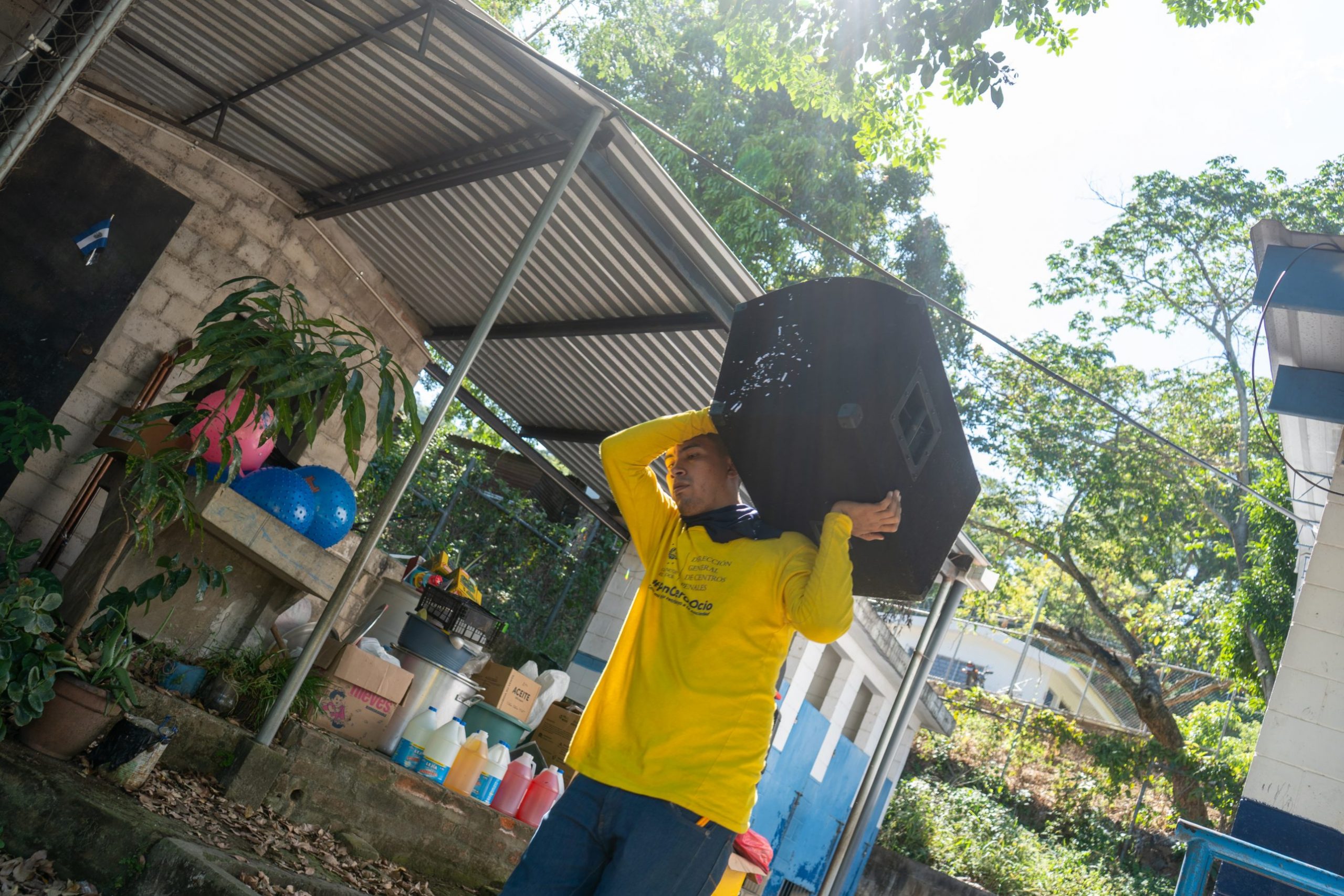 Imagen de la galería