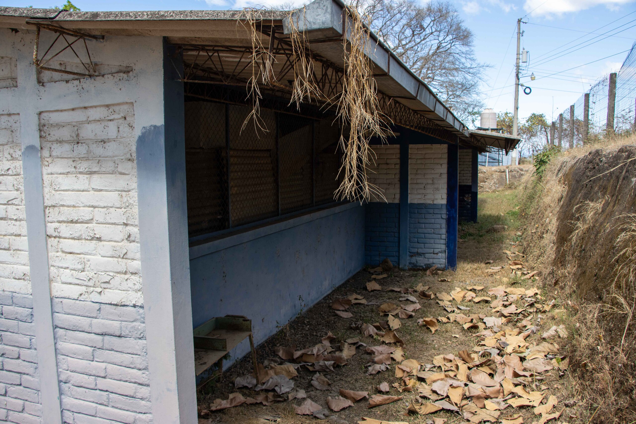 Imagen estado anterior