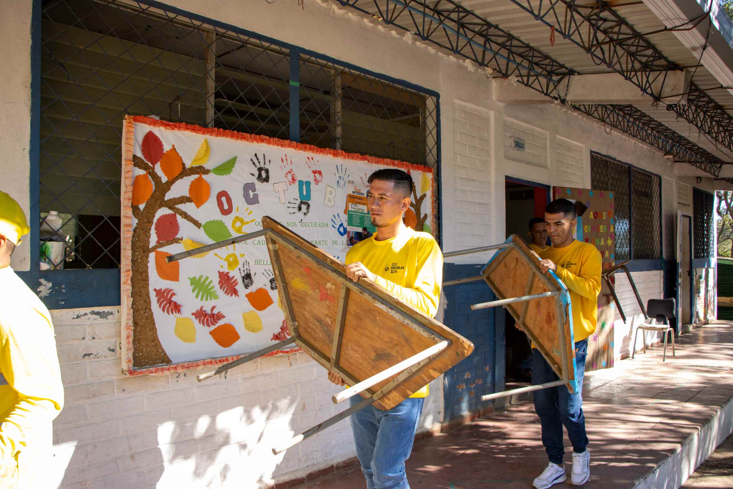 Imagen de la galería