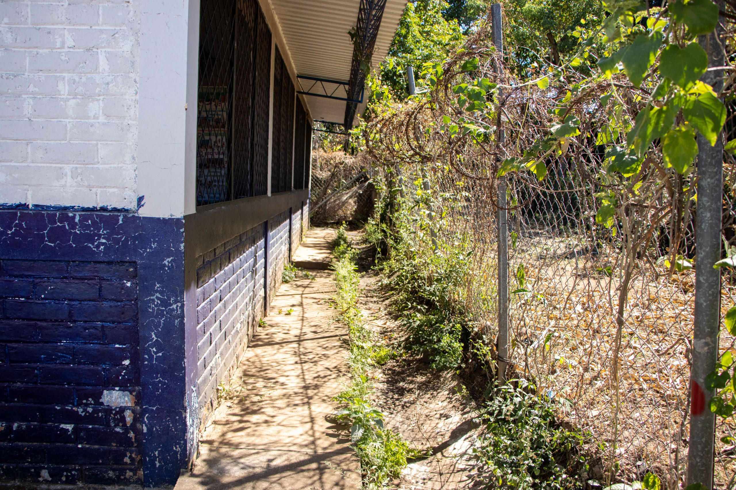 Imagen estado anterior