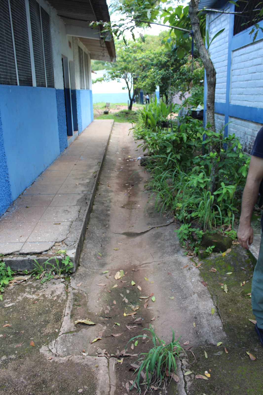 Imagen estado anterior