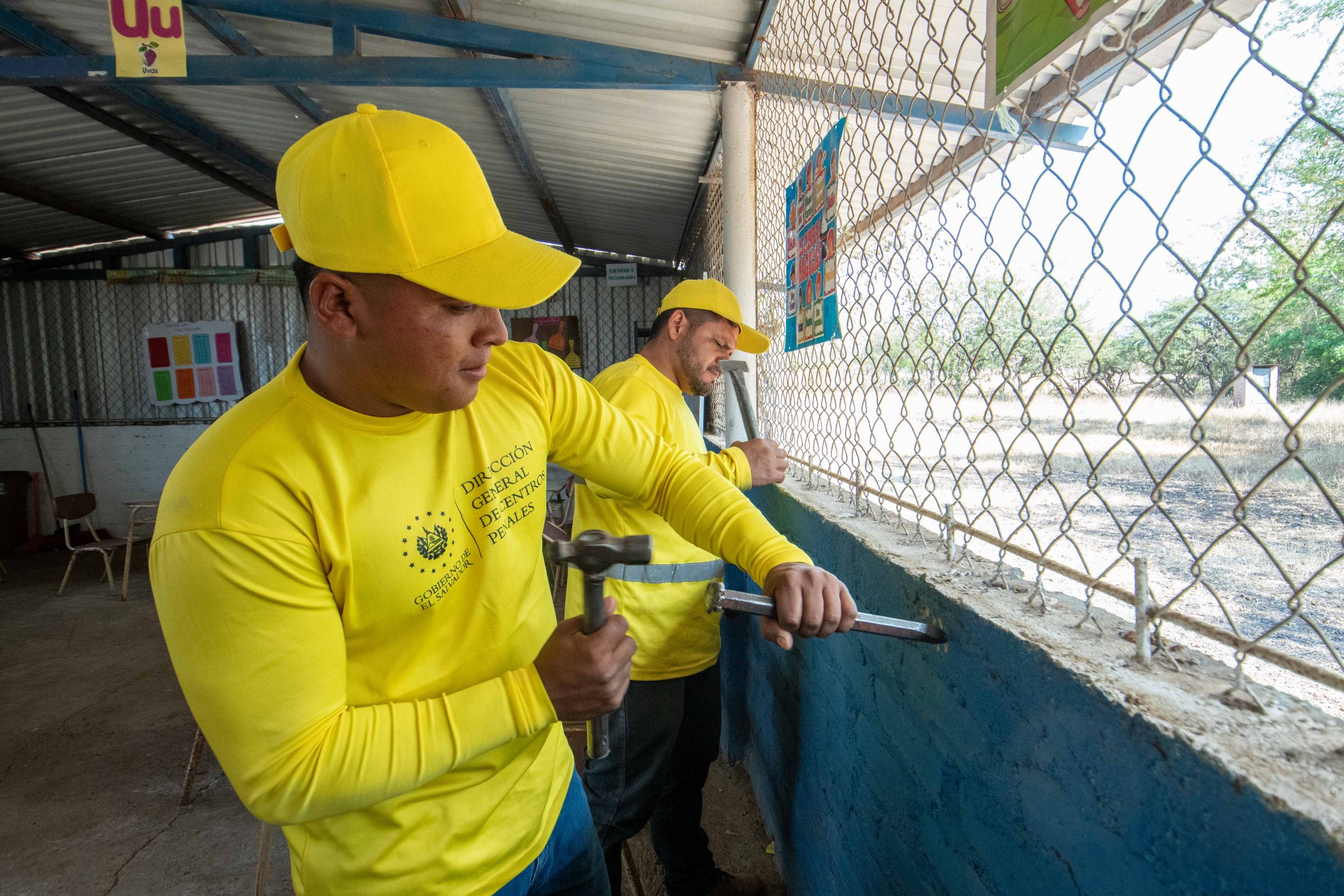 Imagen de la galería