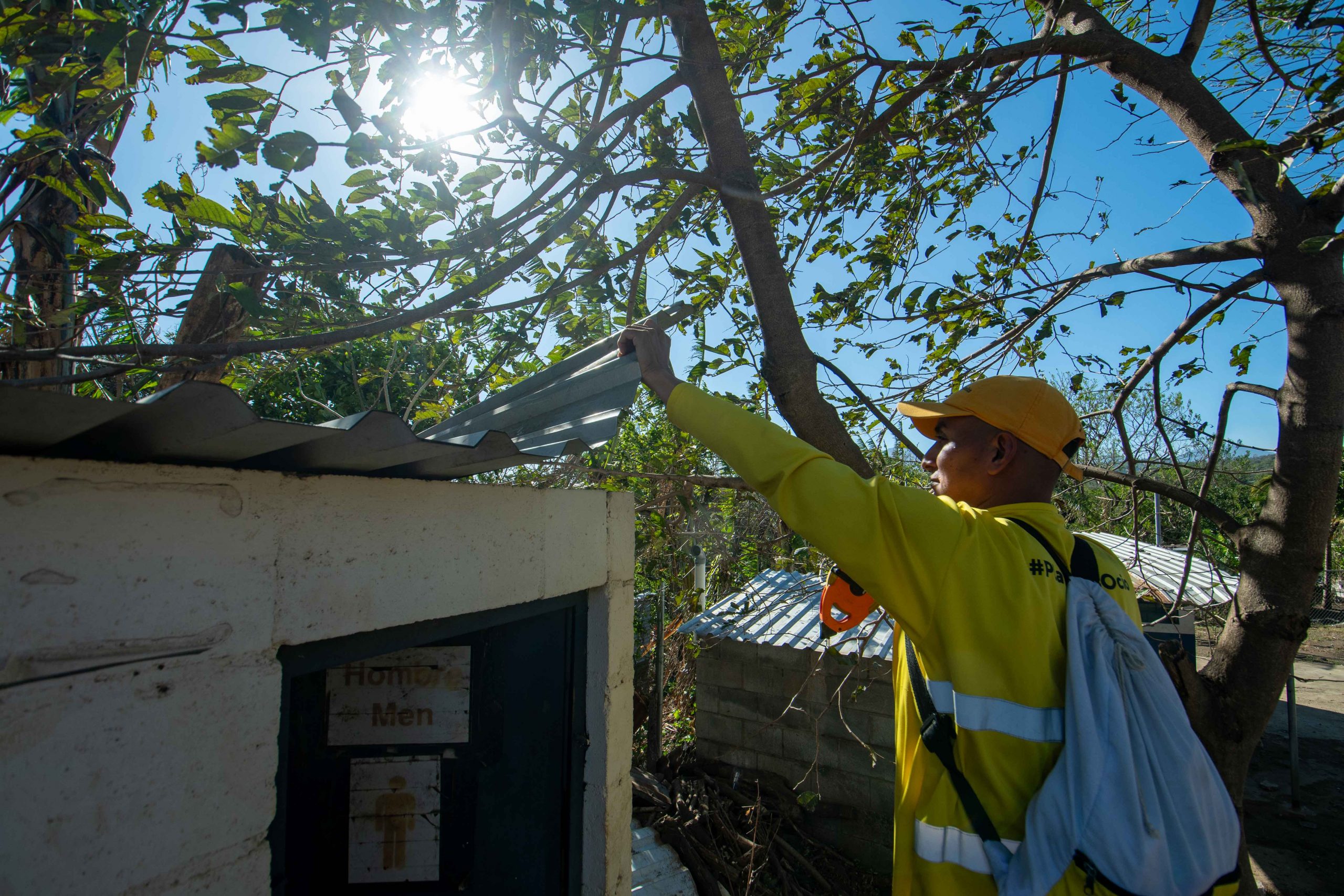 Imagen de la galería
