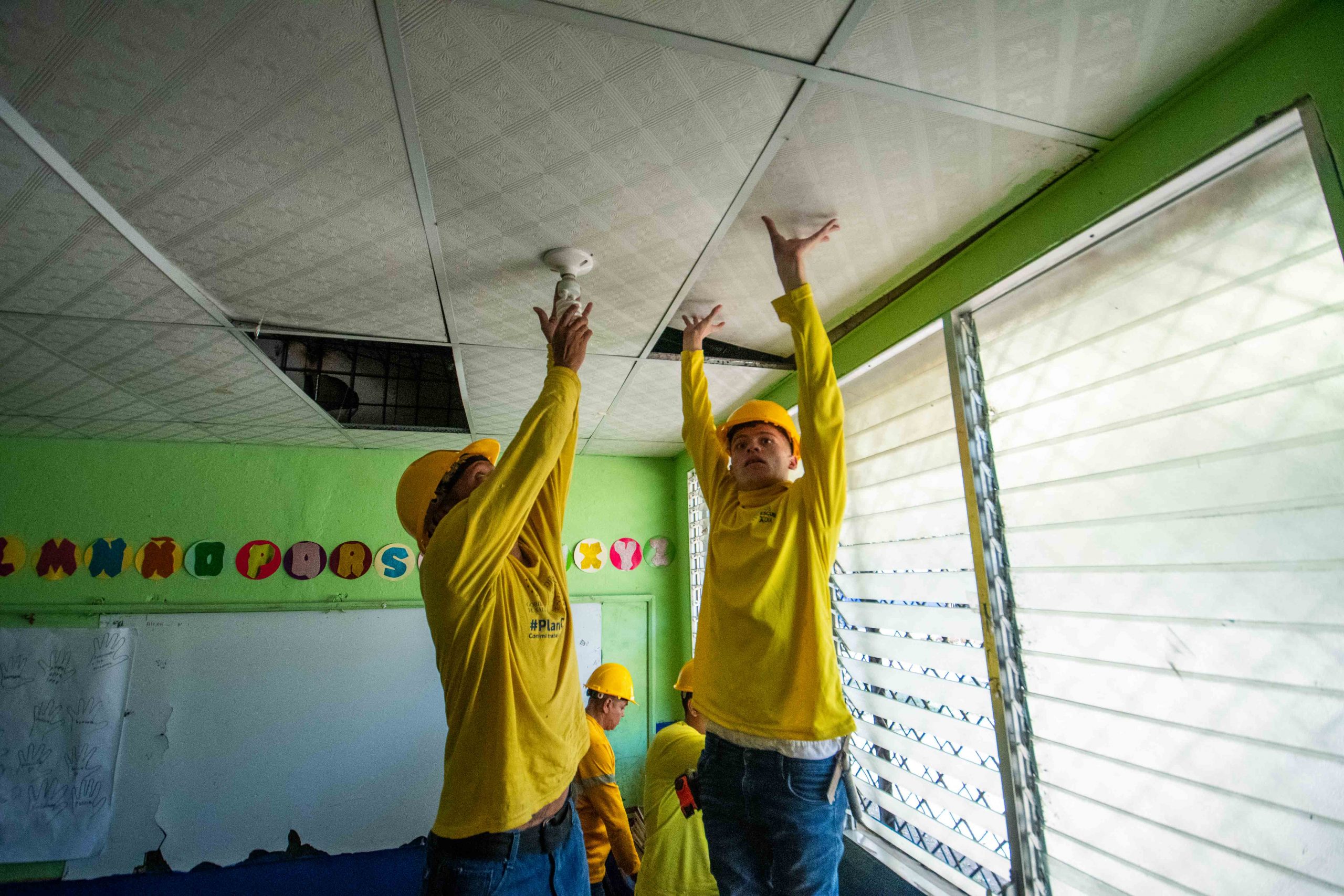 Imagen de la galería