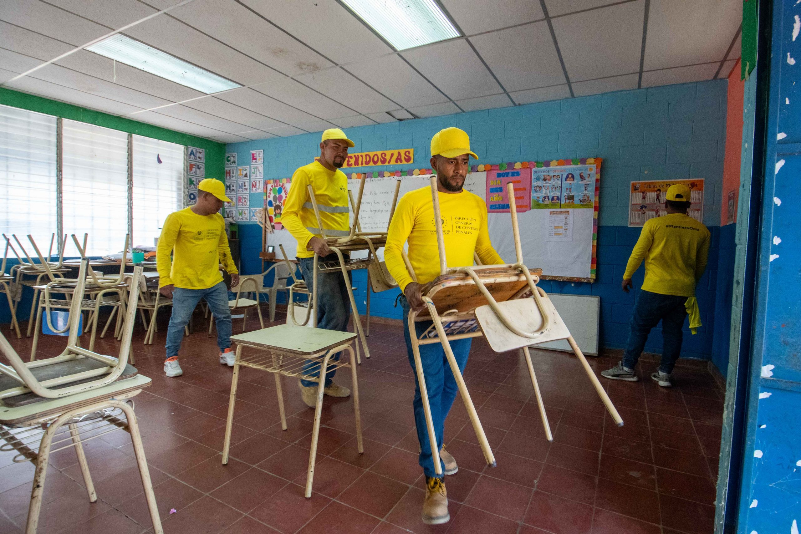 Imagen de la galería