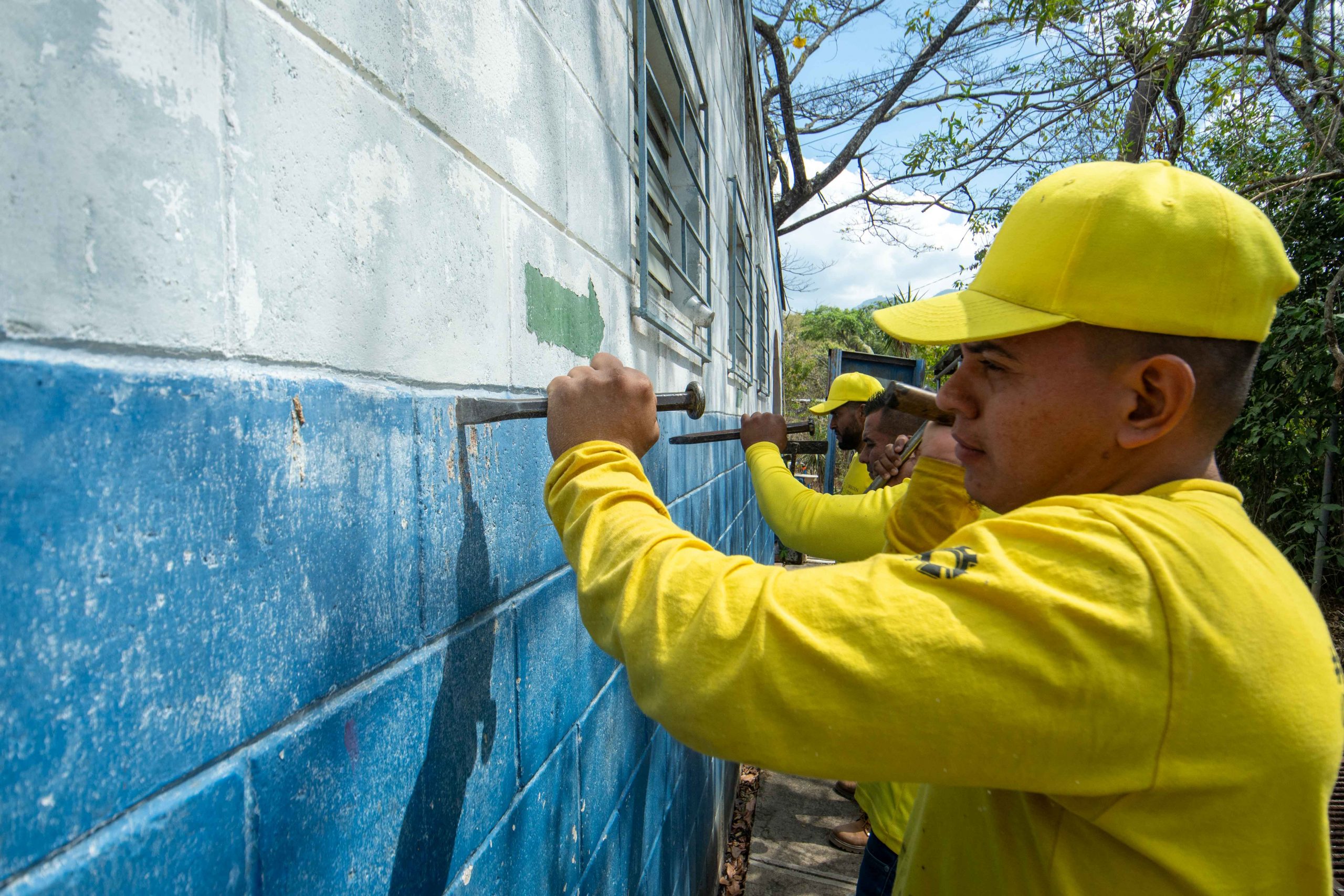 Imagen de la galería