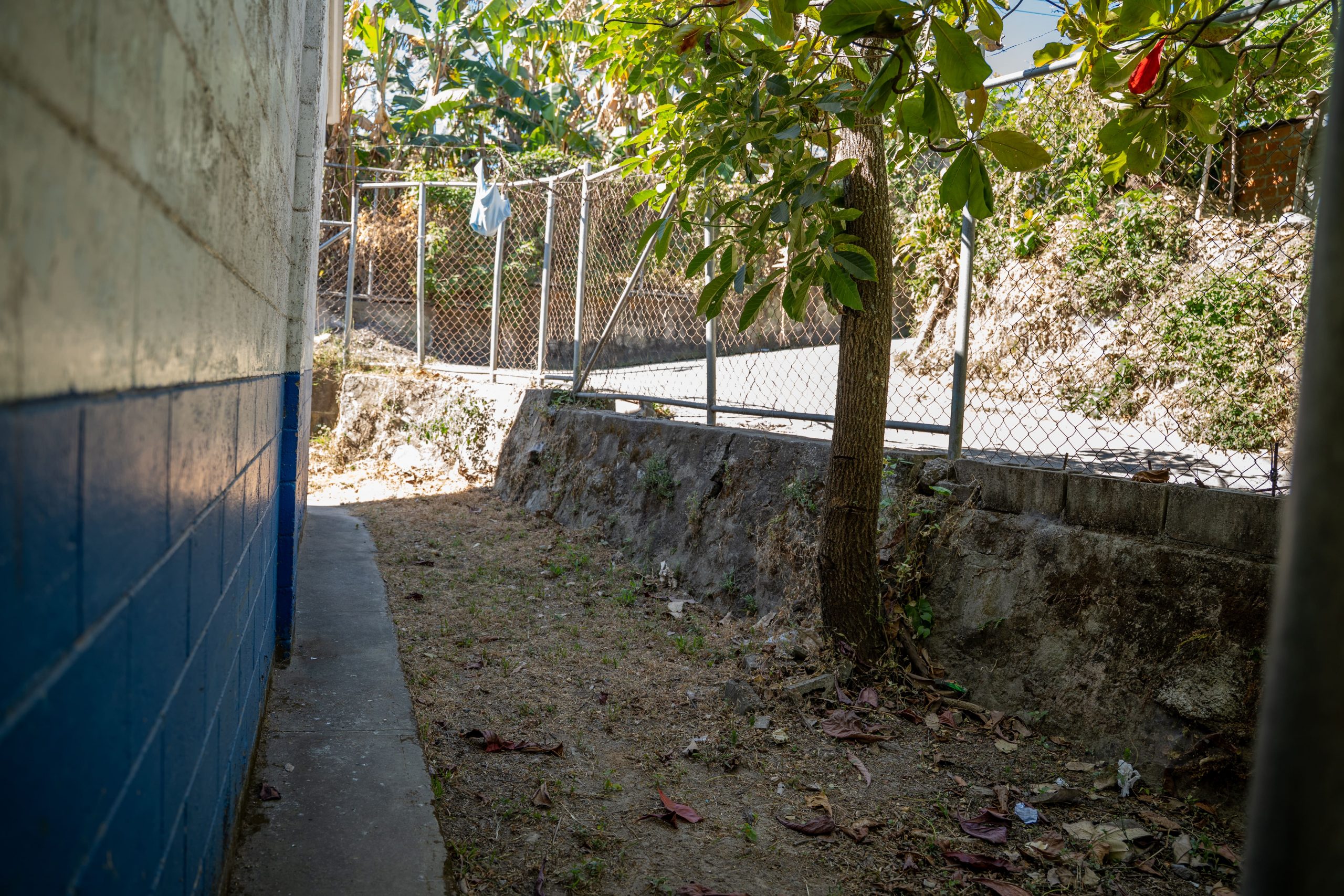 Imagen estado anterior