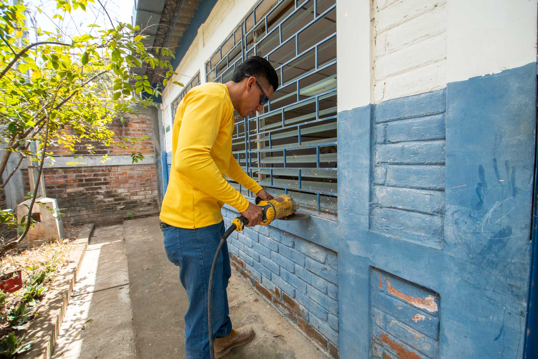 Imagen de la galería