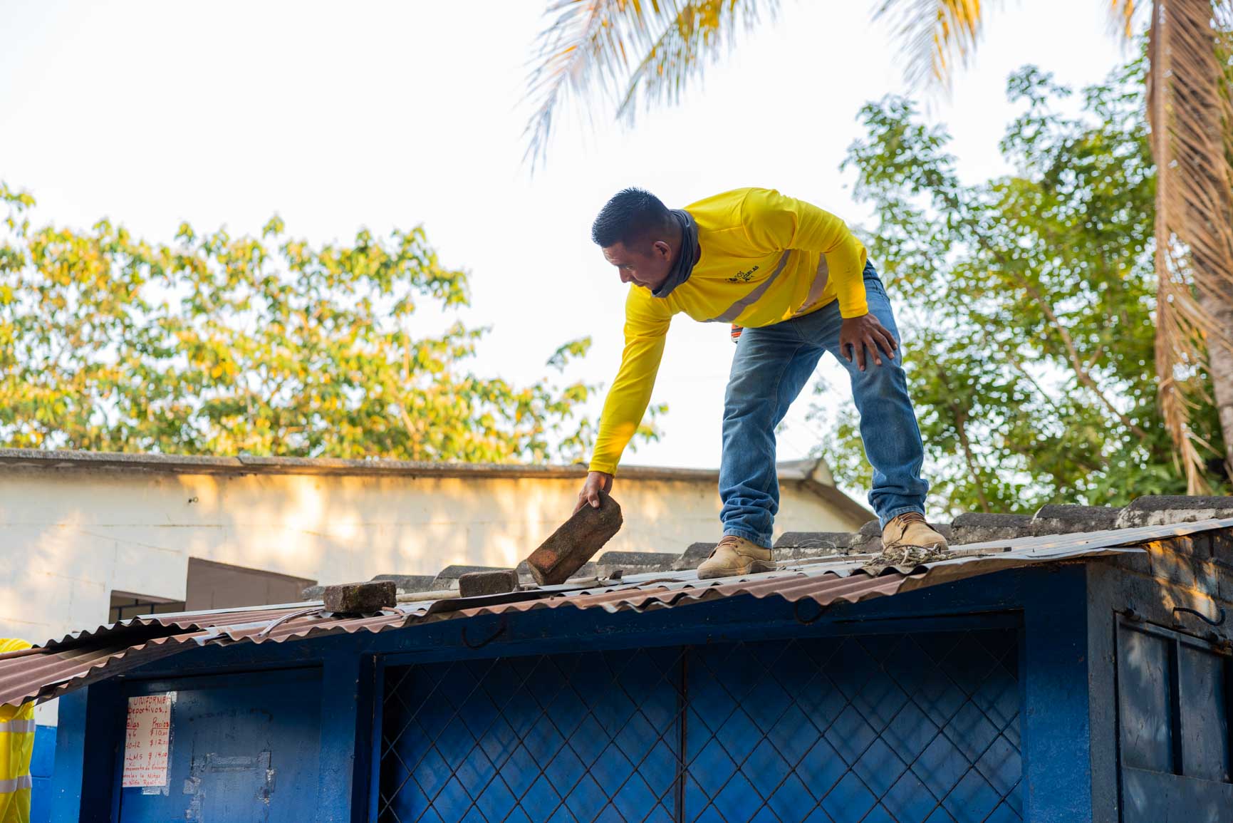 Imagen de la galería