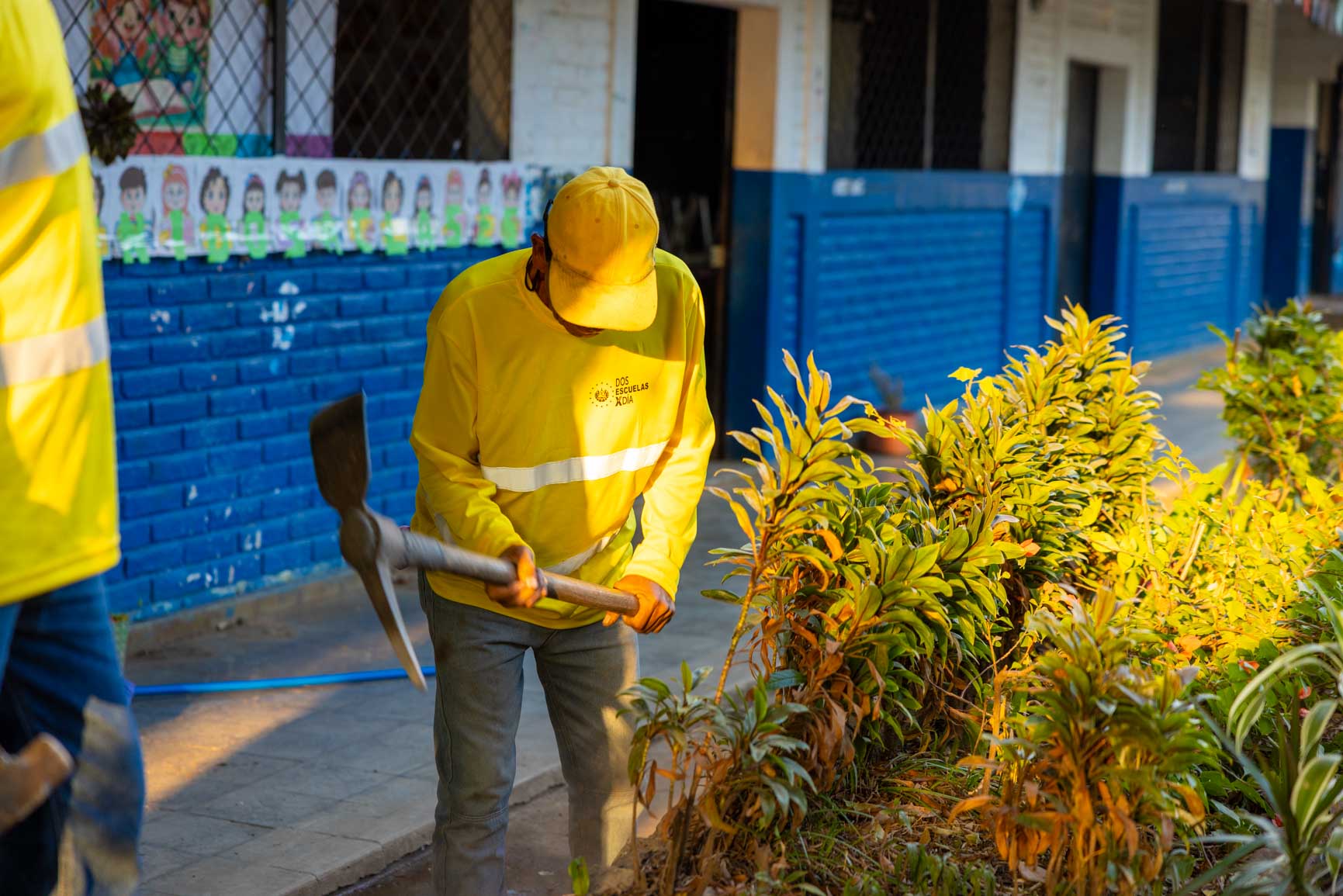 Imagen de la galería