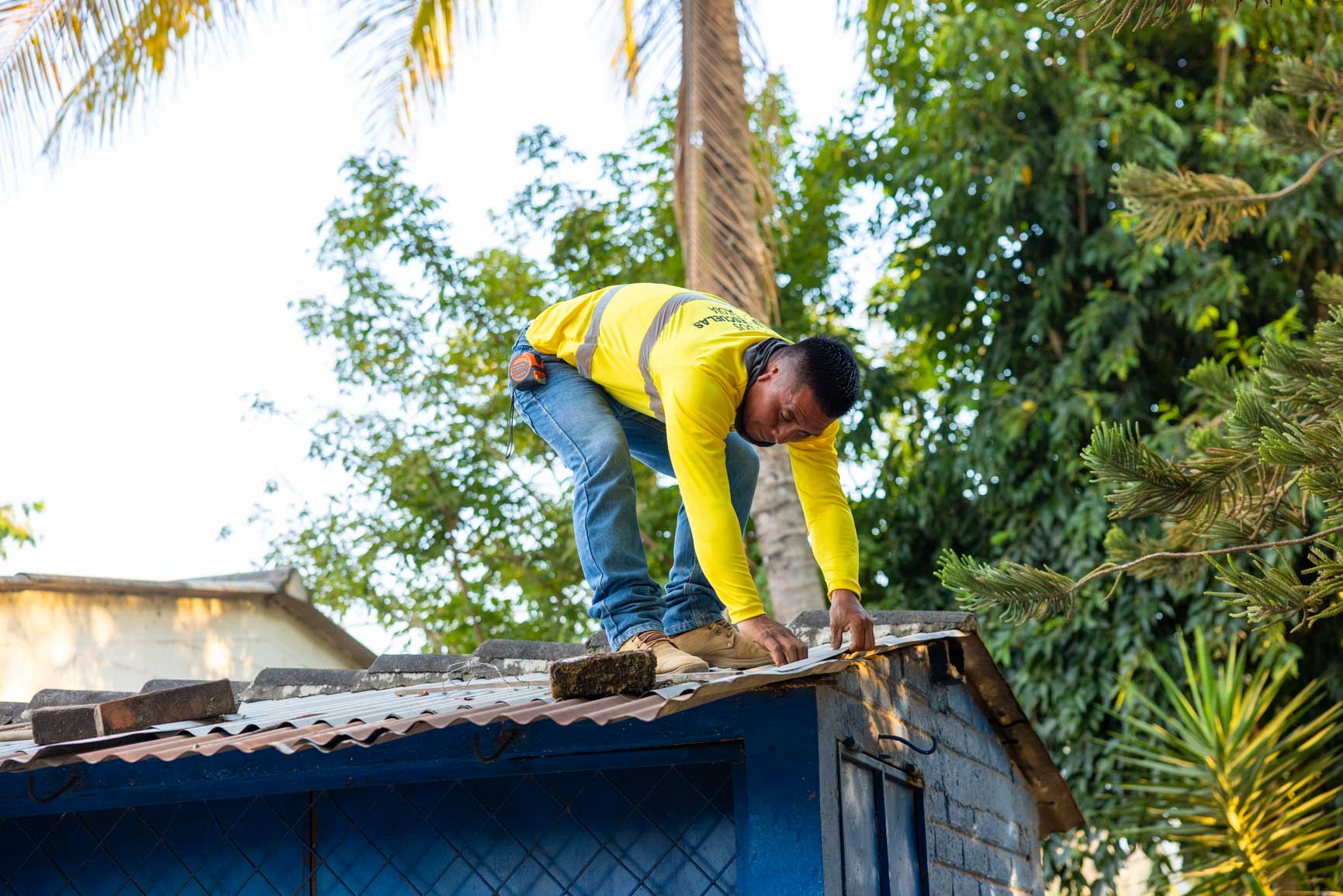 Imagen de la galería