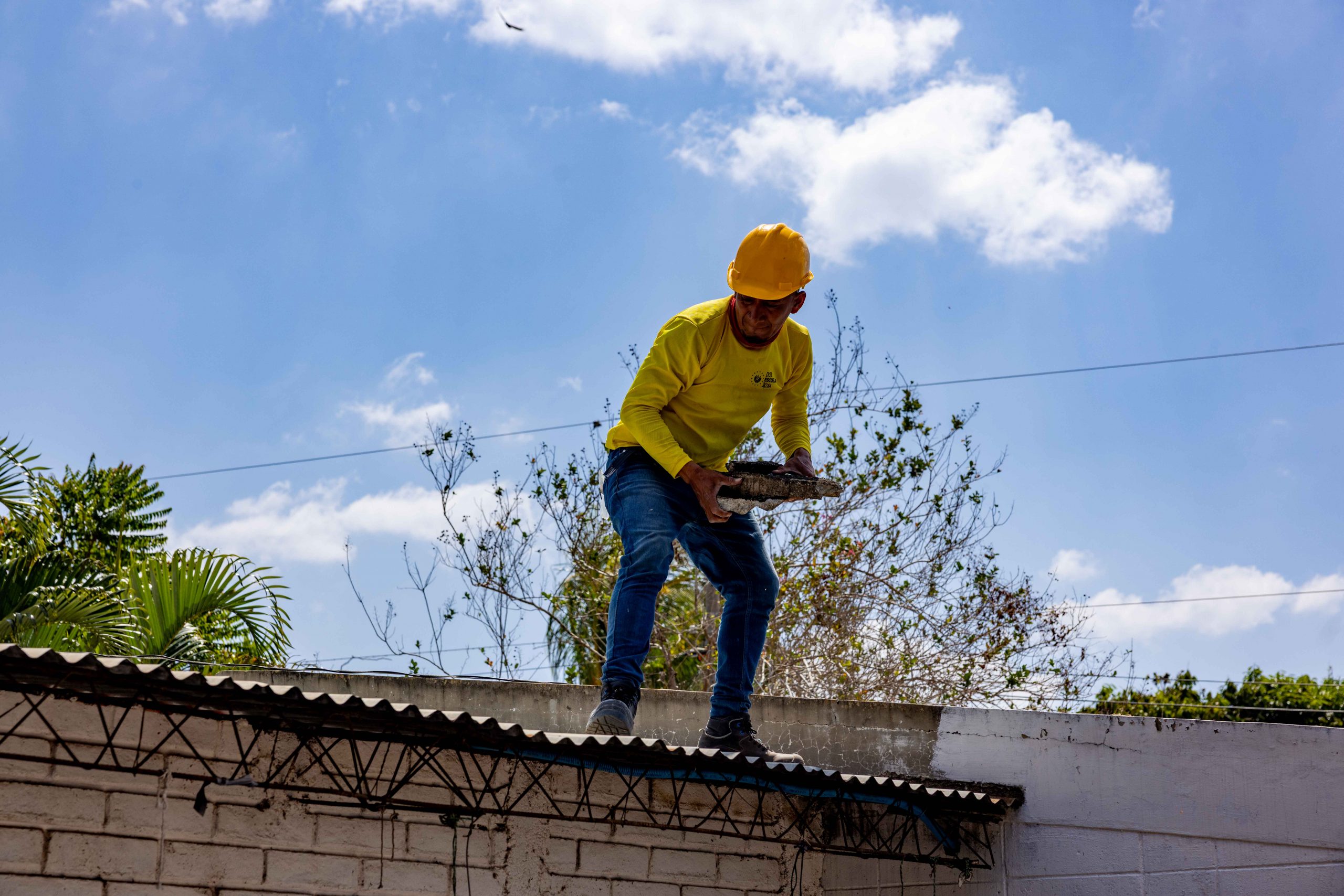 Imagen de la galería