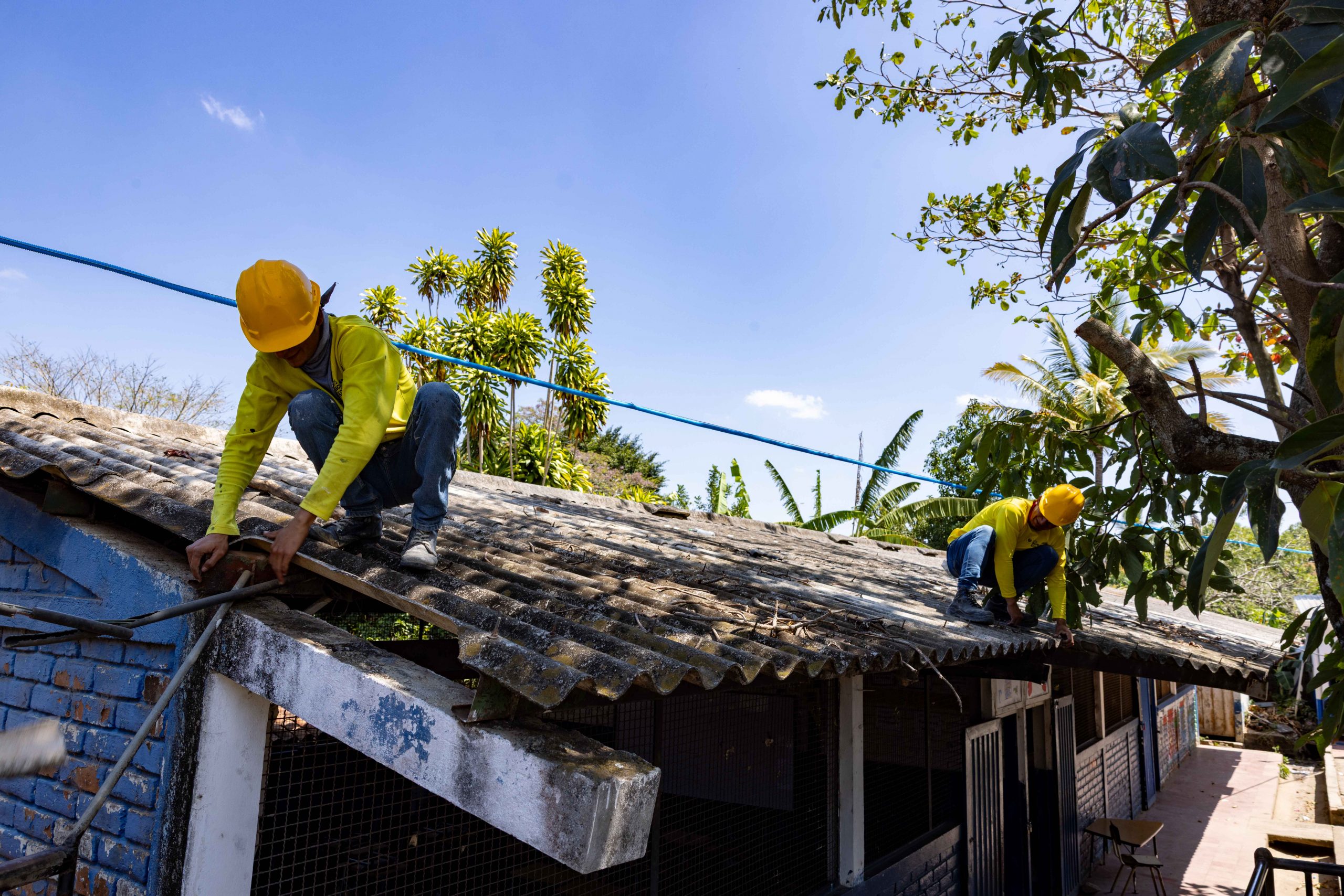 Imagen de la galería