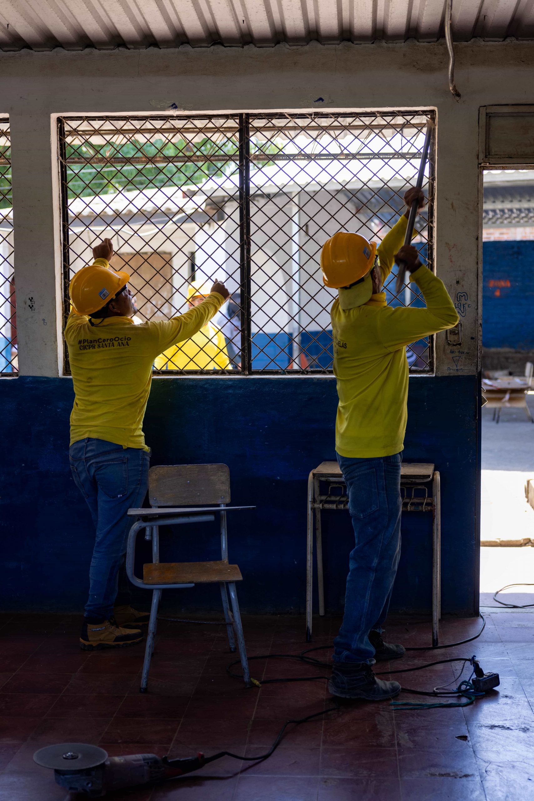 Imagen de la galería