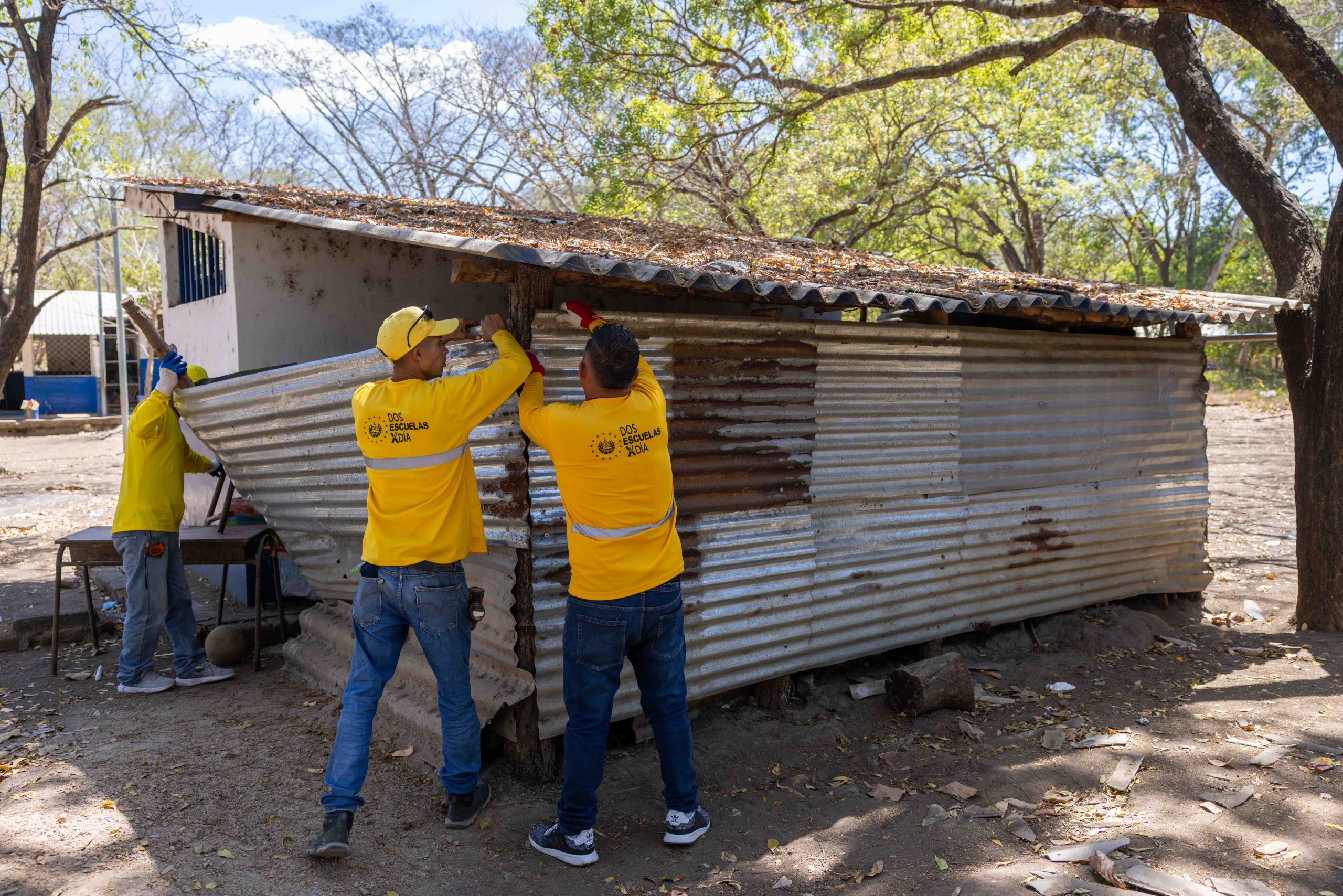 Imagen de la galería