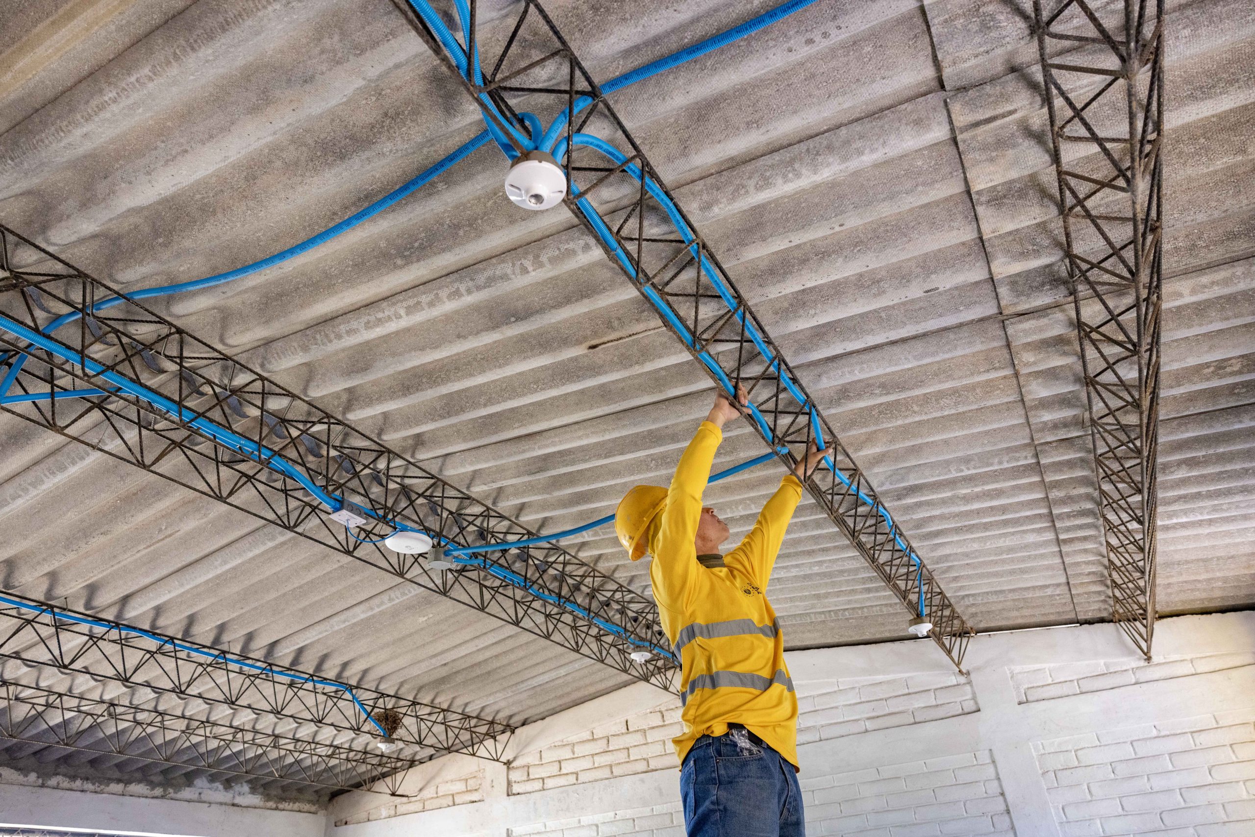 Imagen de la galería