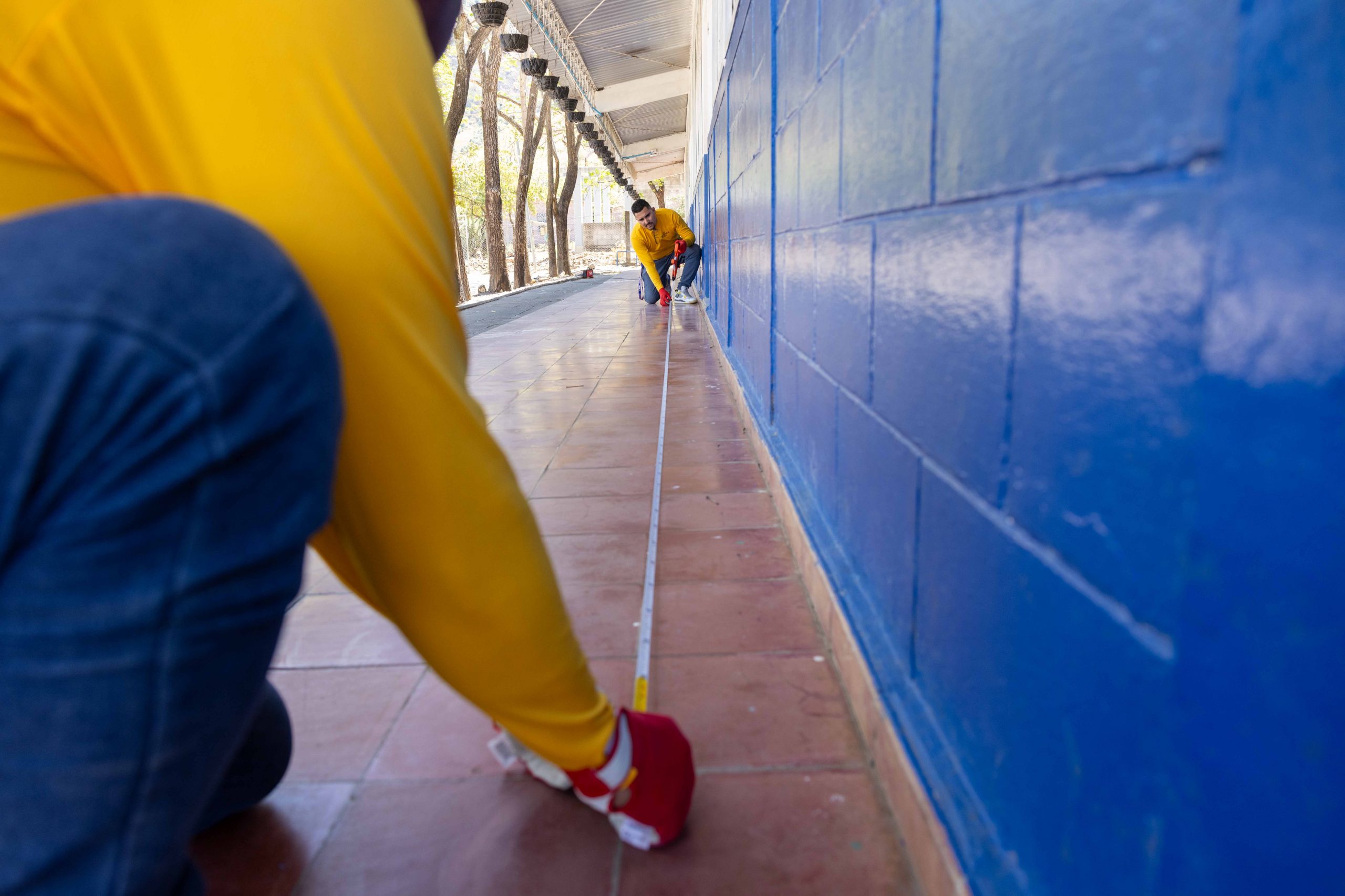 Imagen de la galería