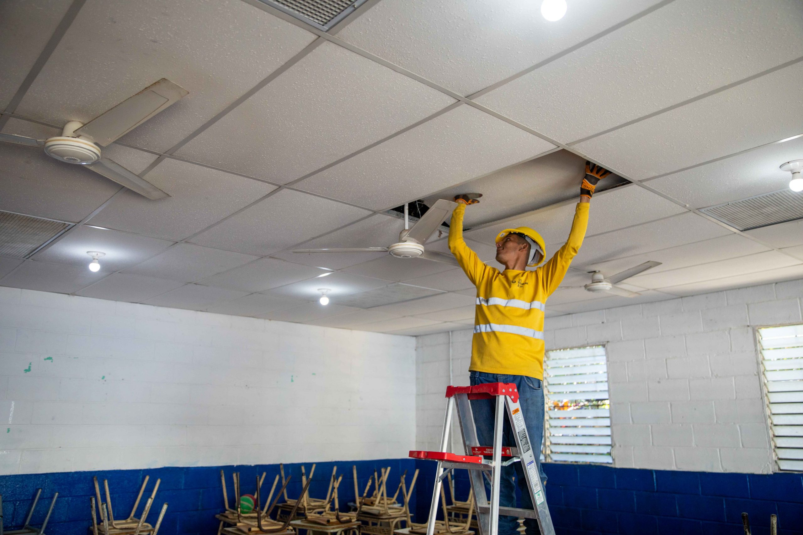 Imagen de la galería