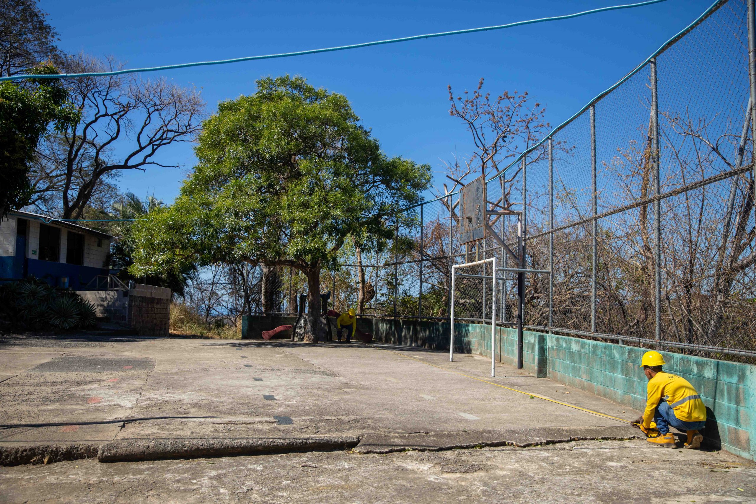 Imagen de la galería