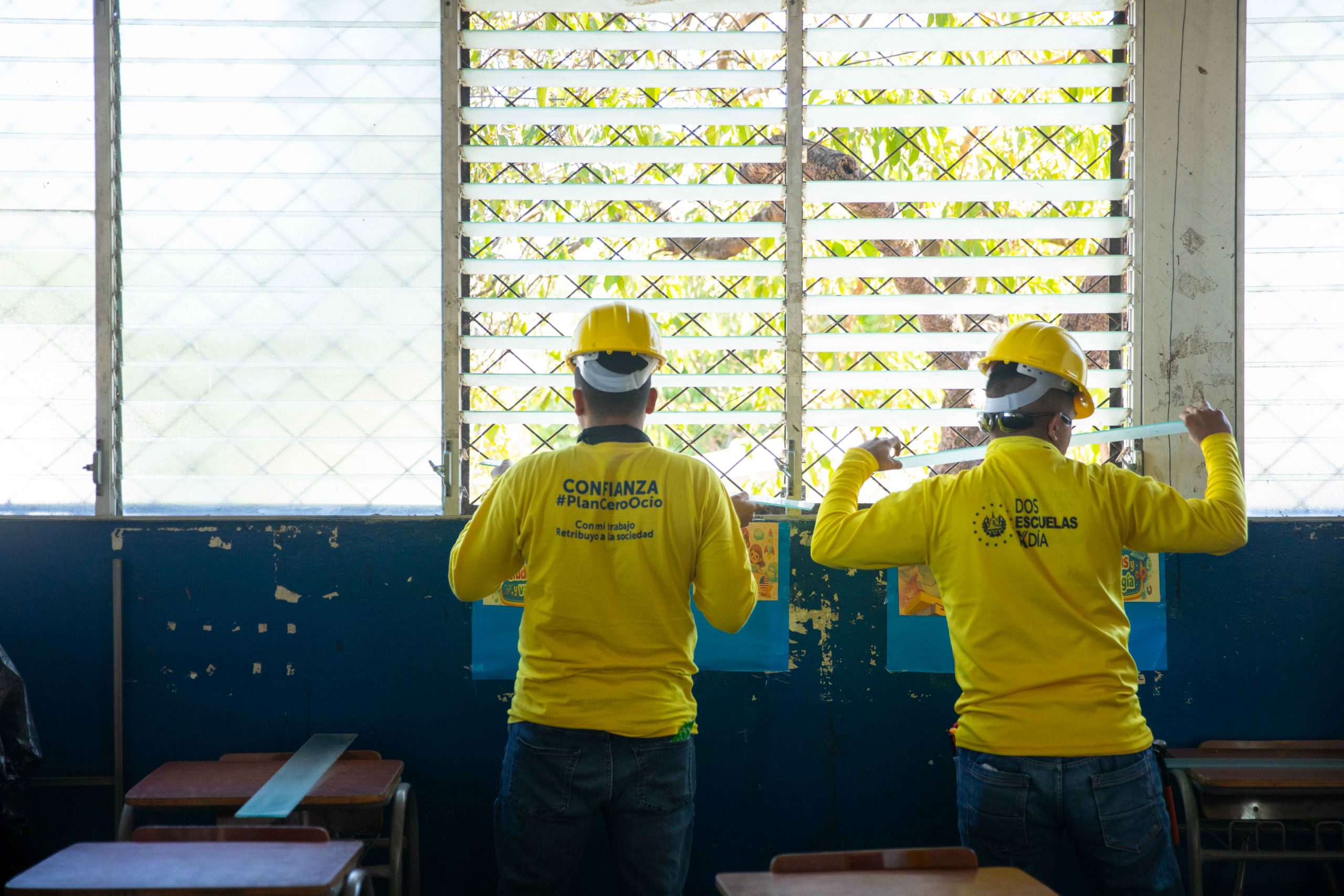 Imagen de la galería