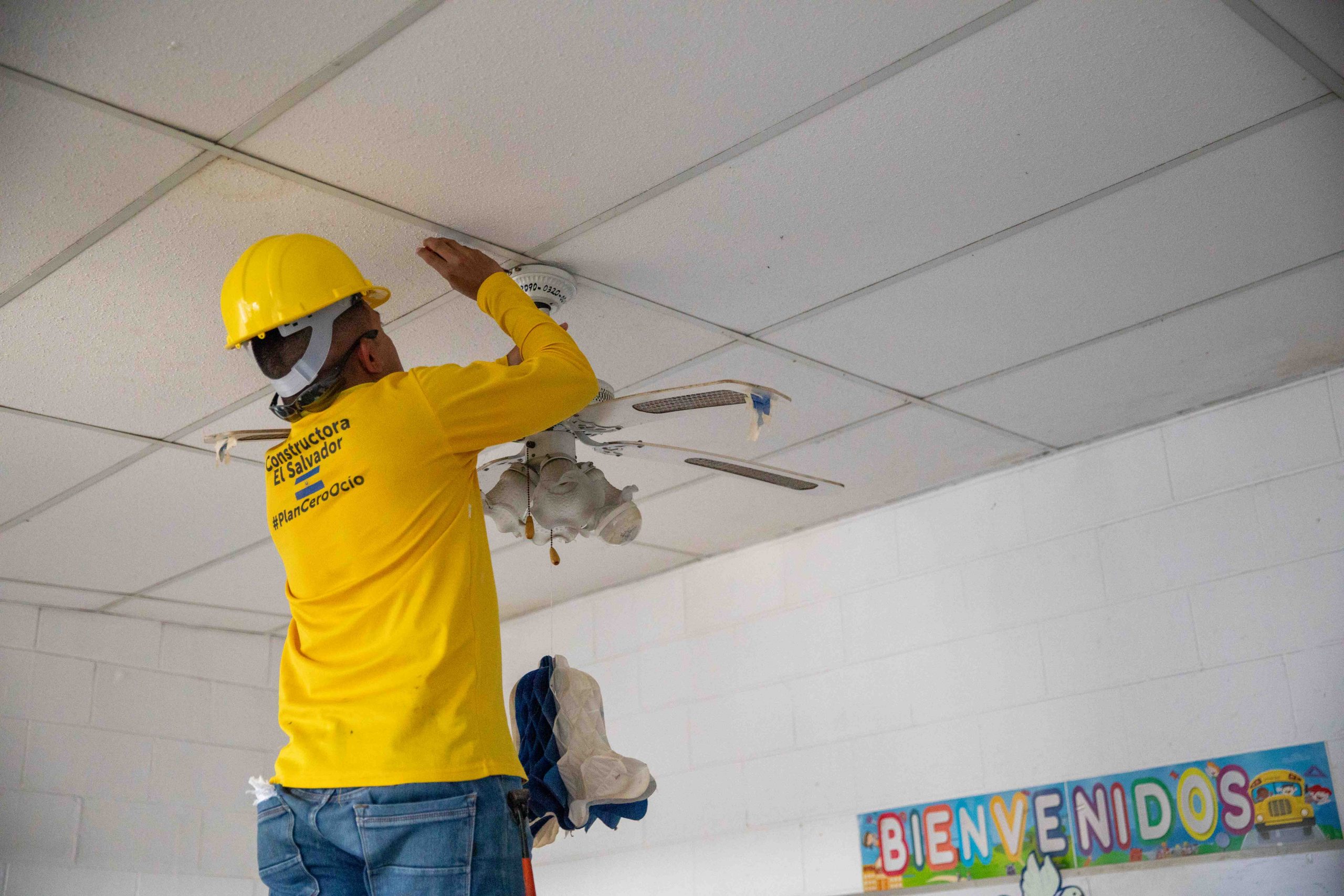 Imagen de la galería