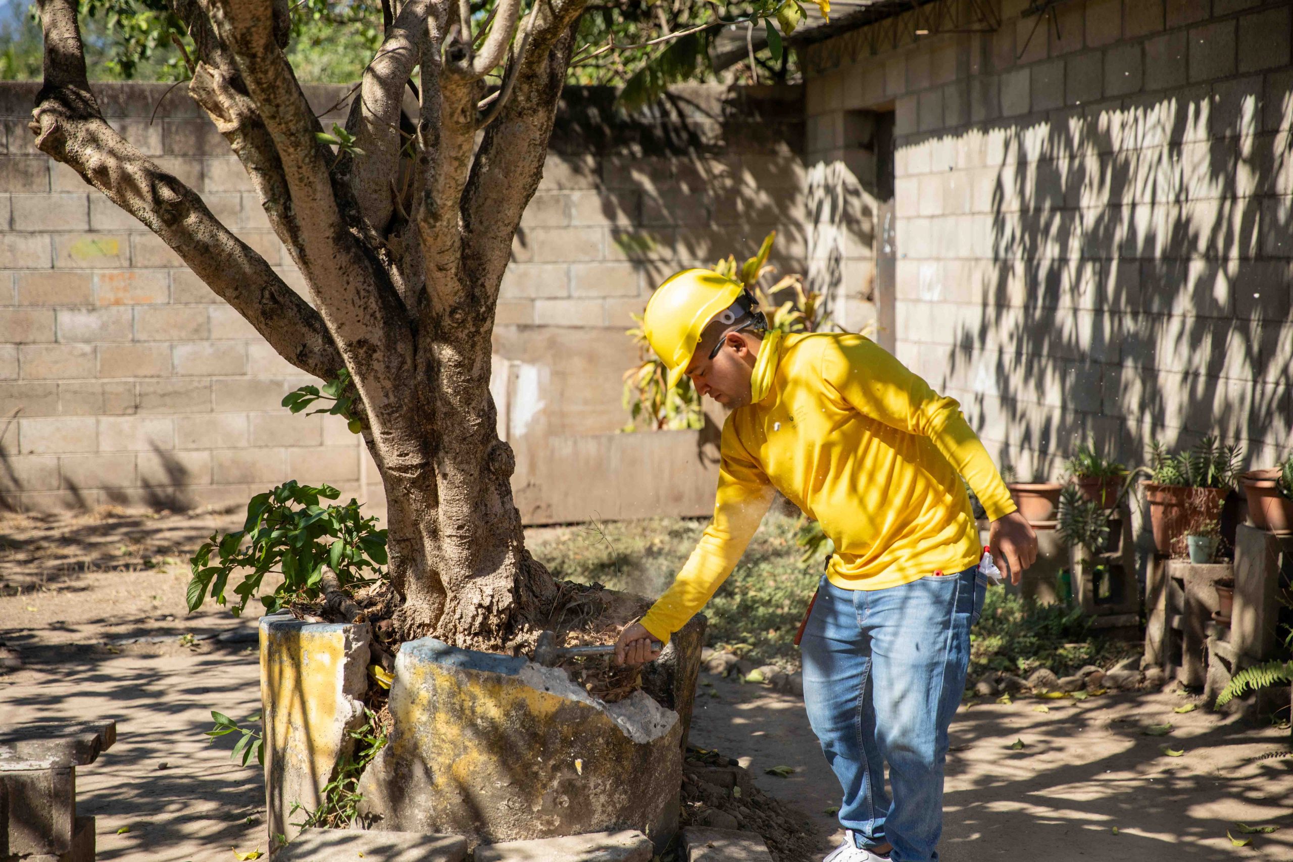 Imagen de la galería