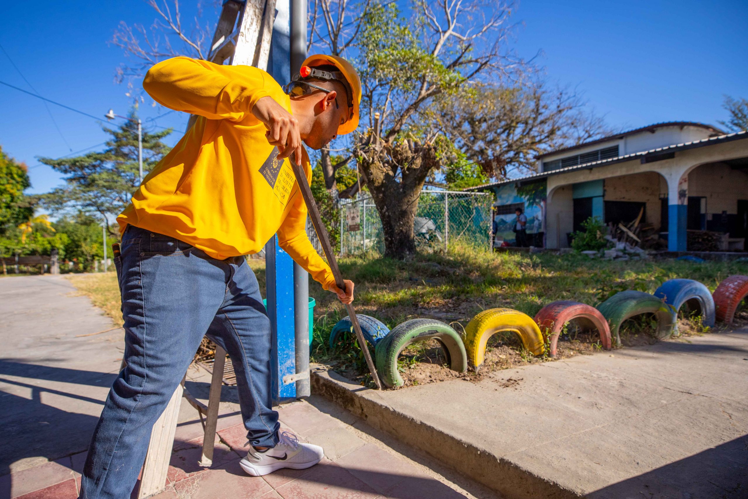 Imagen de la galería