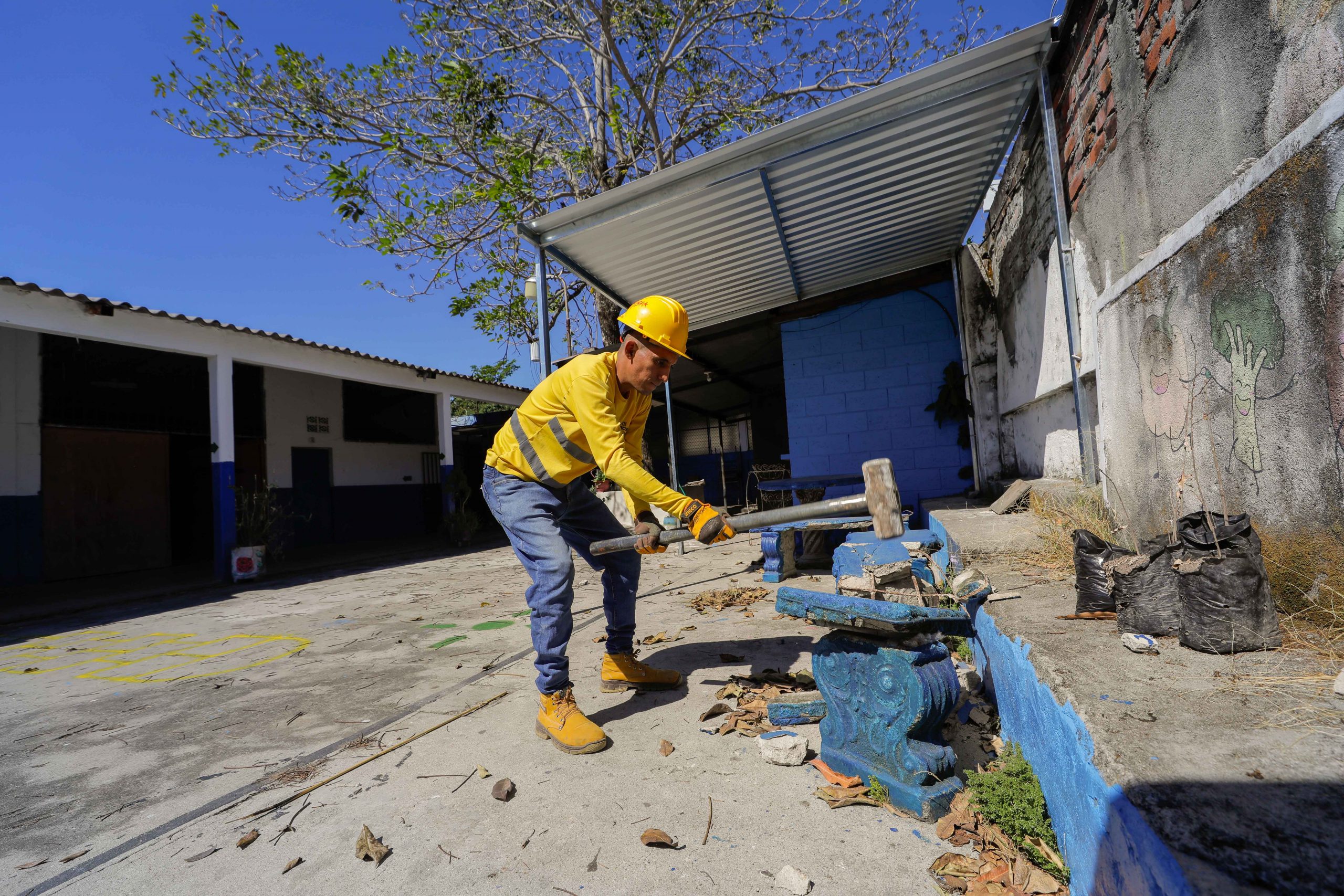 Imagen de la galería