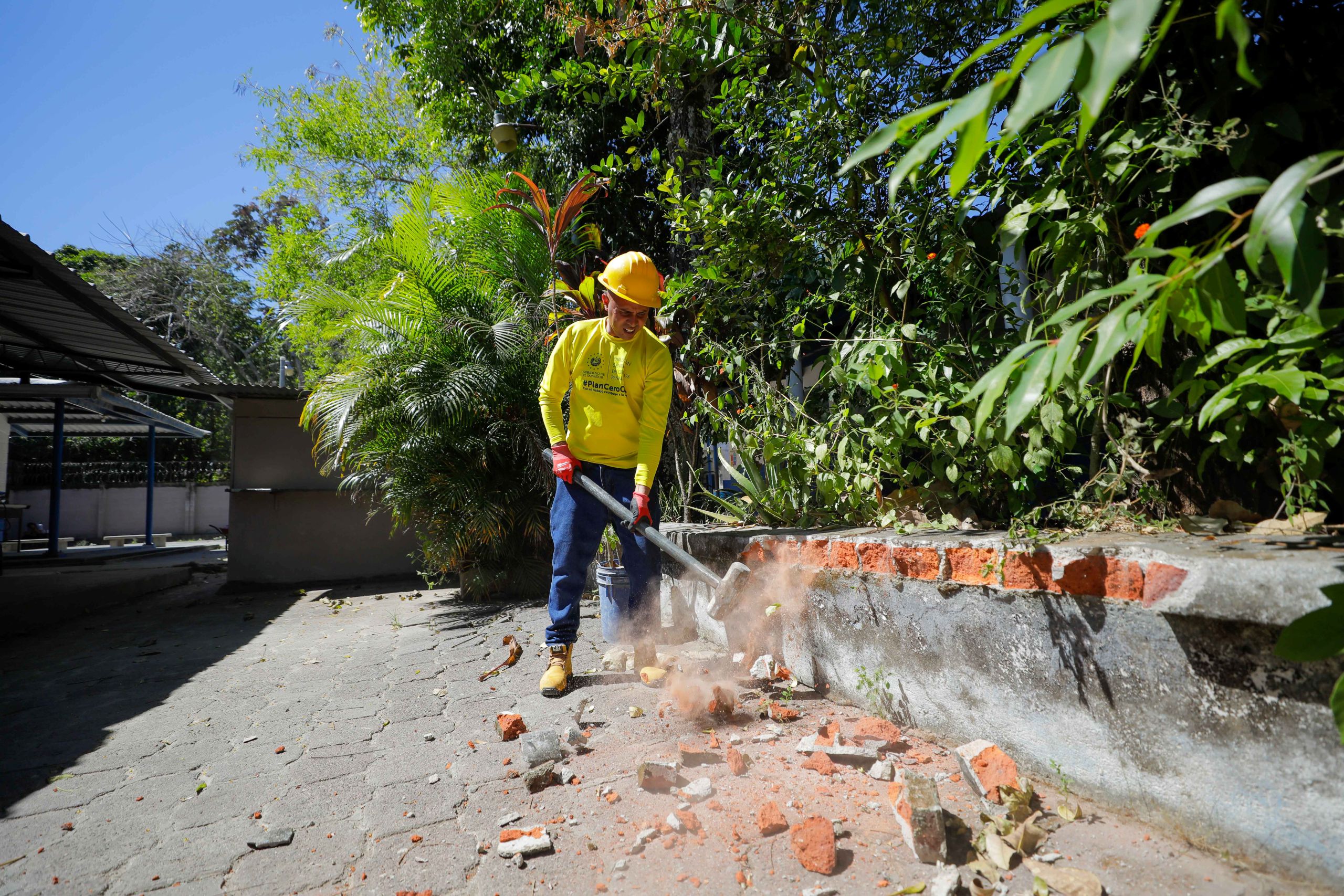 Imagen de la galería