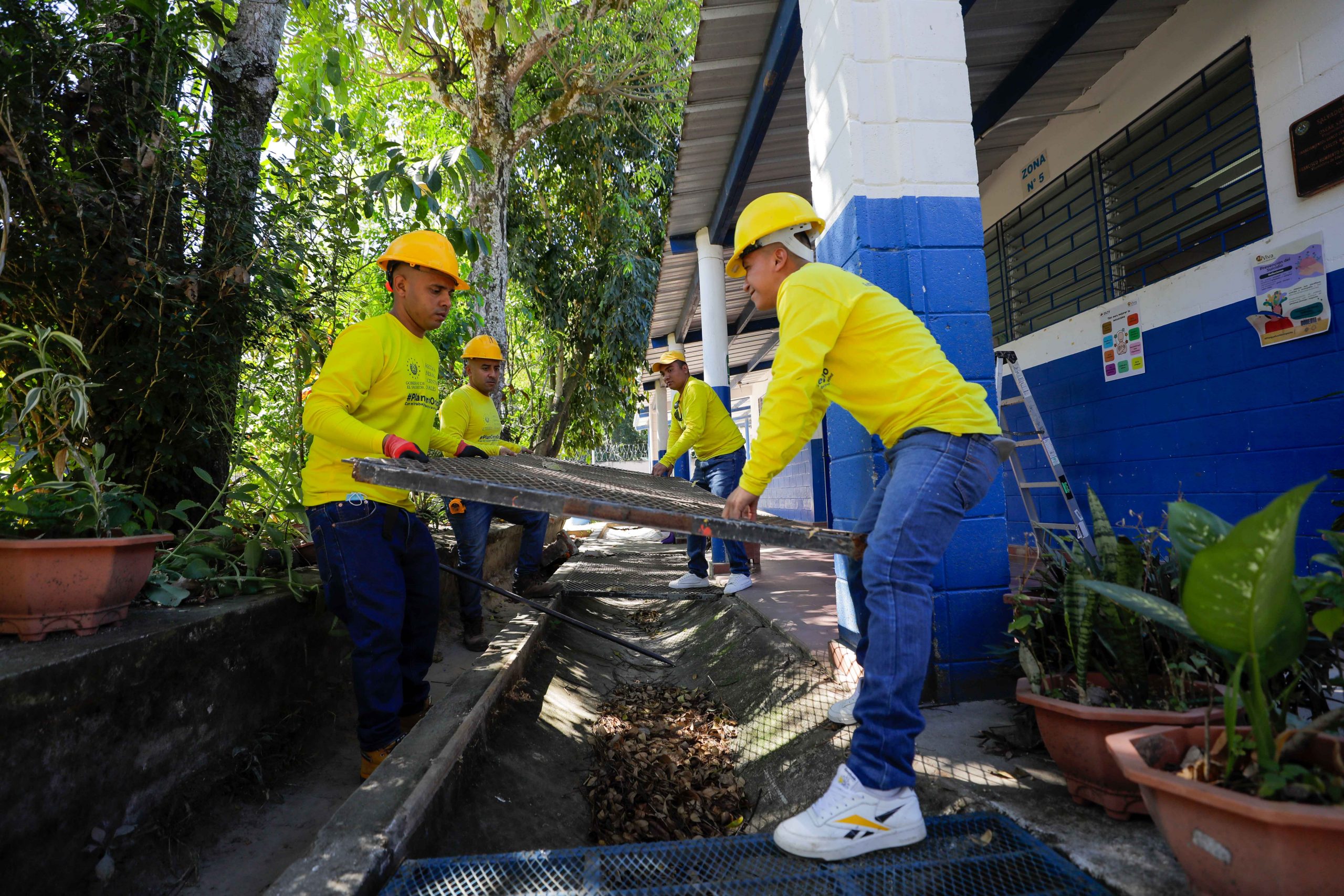 Imagen de la galería