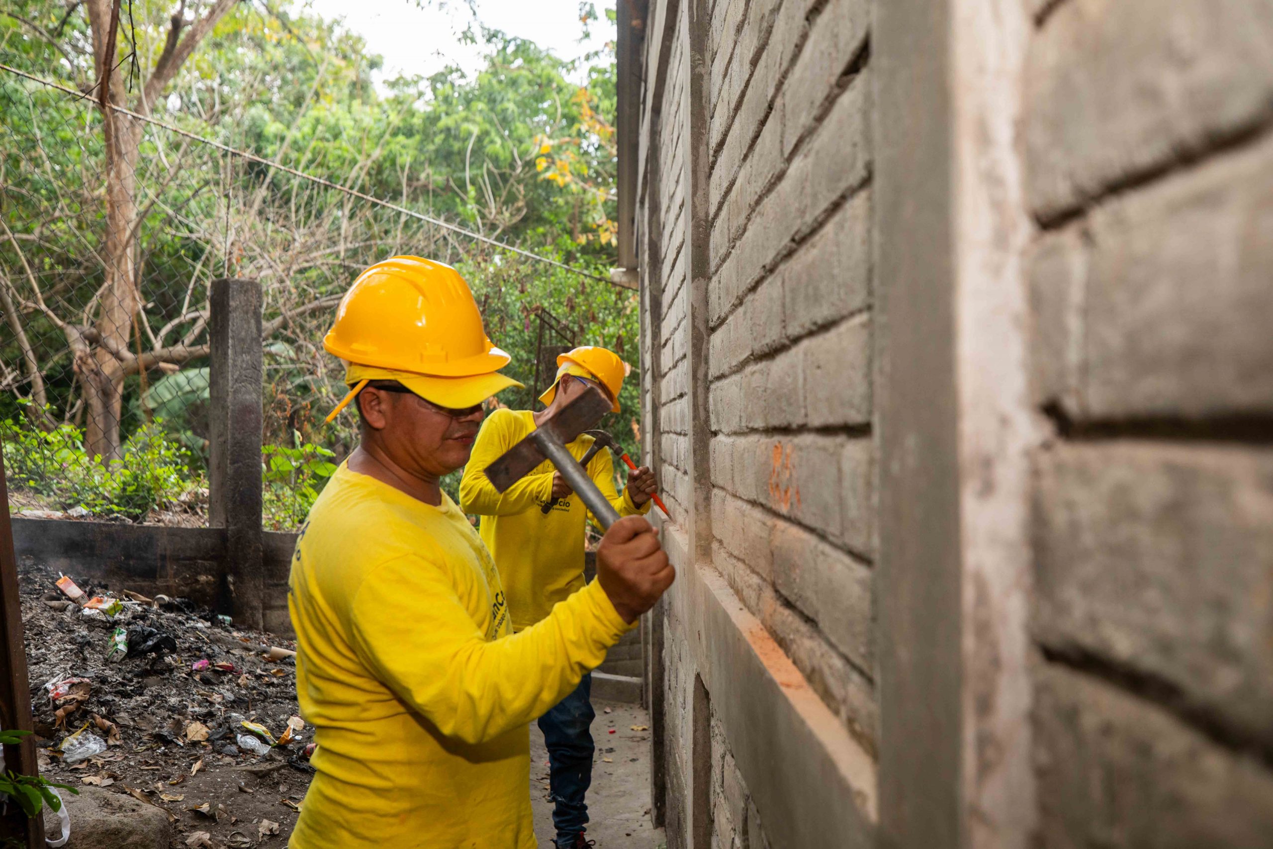 Imagen de la galería