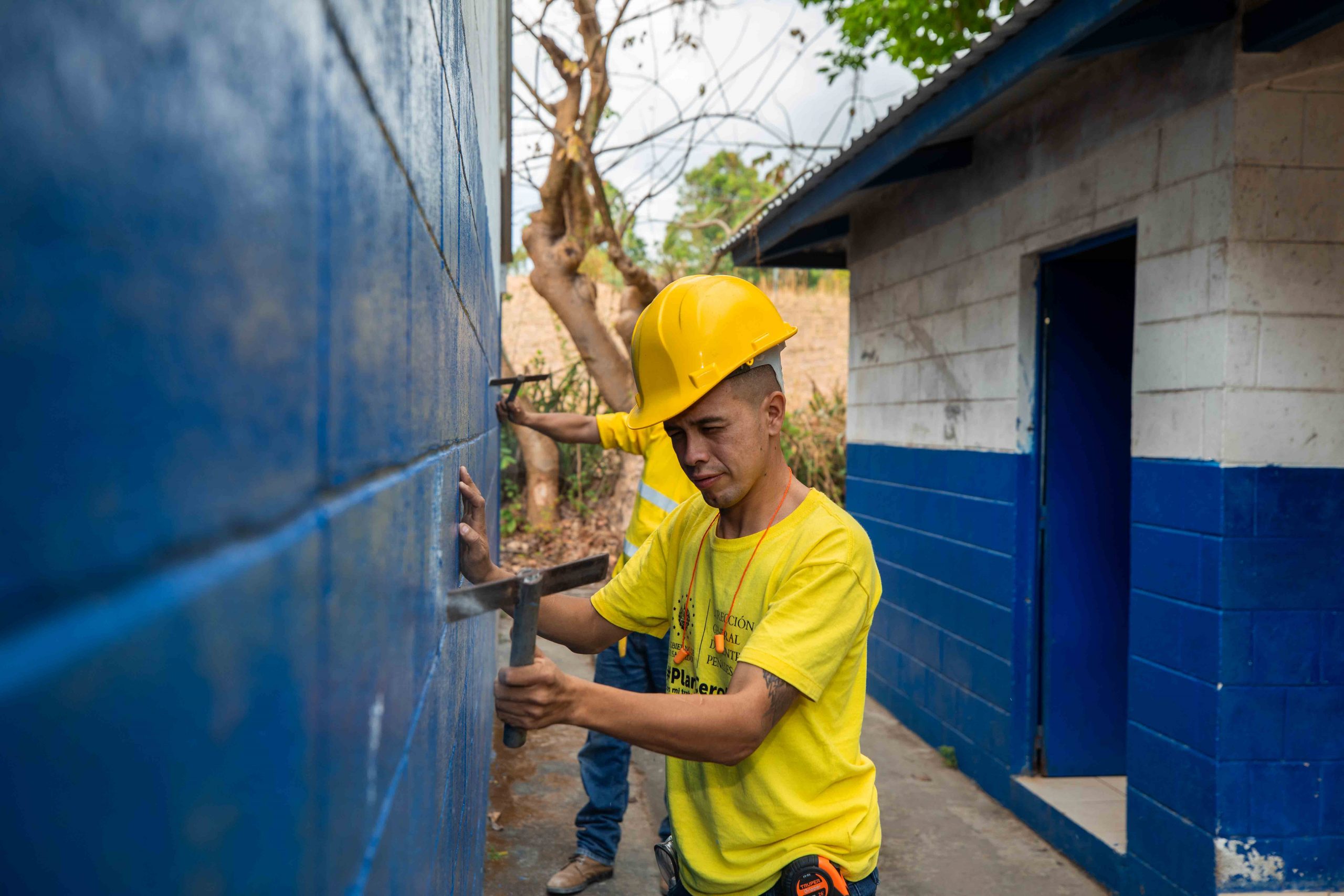 Imagen de la galería