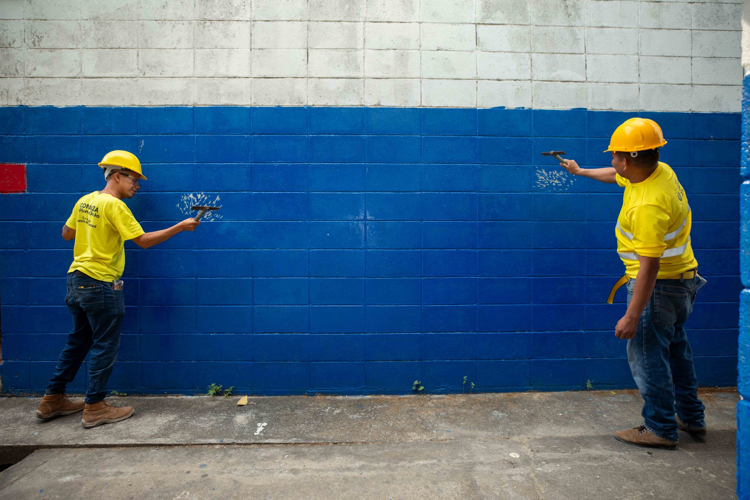 Imagen de la galería