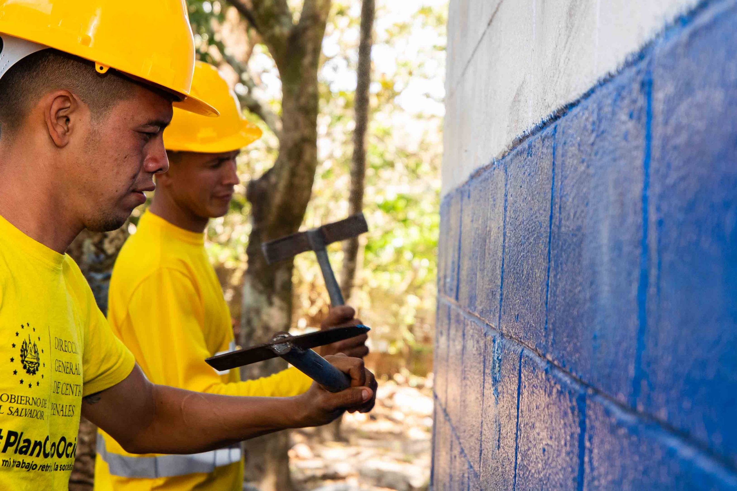 Imagen de la galería