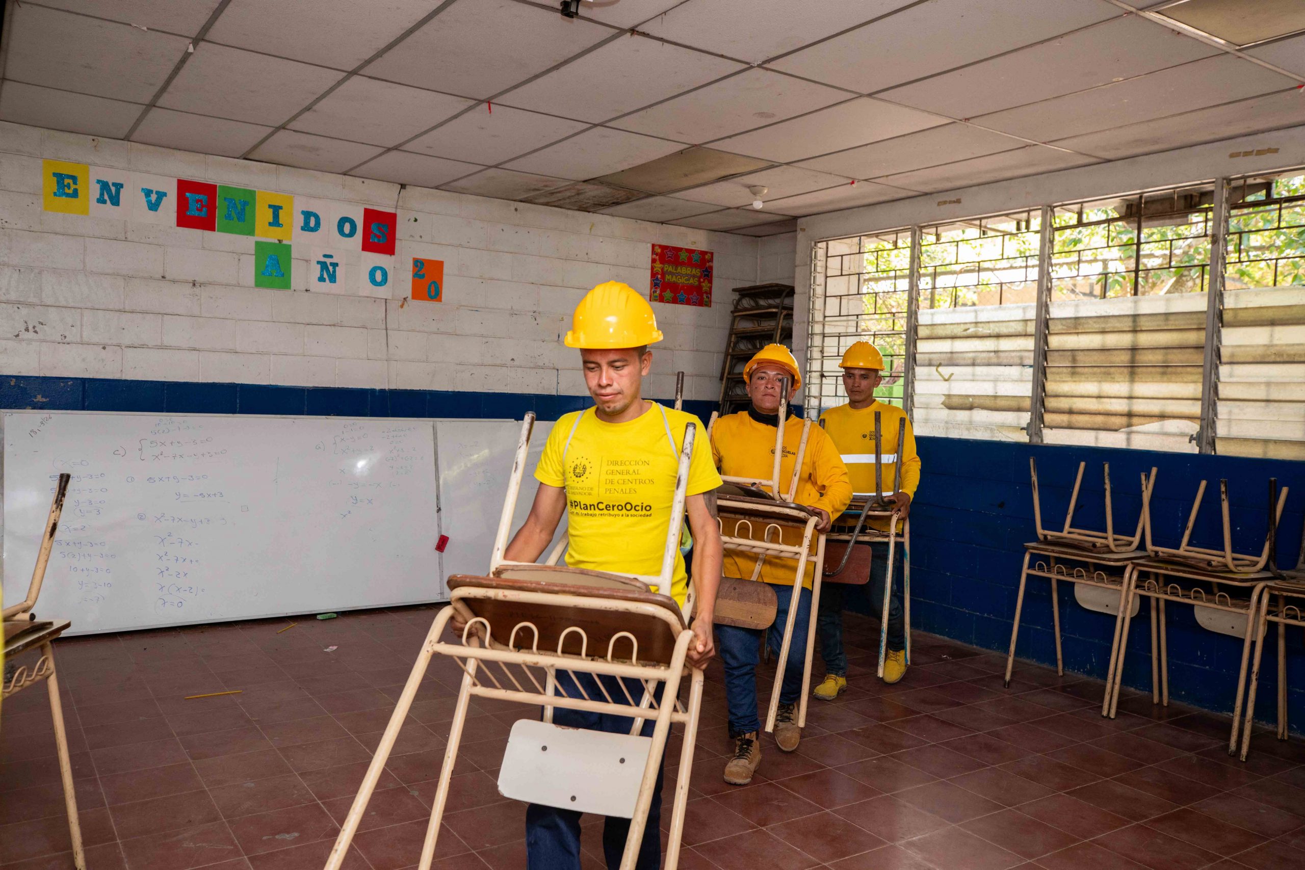 Imagen de la galería