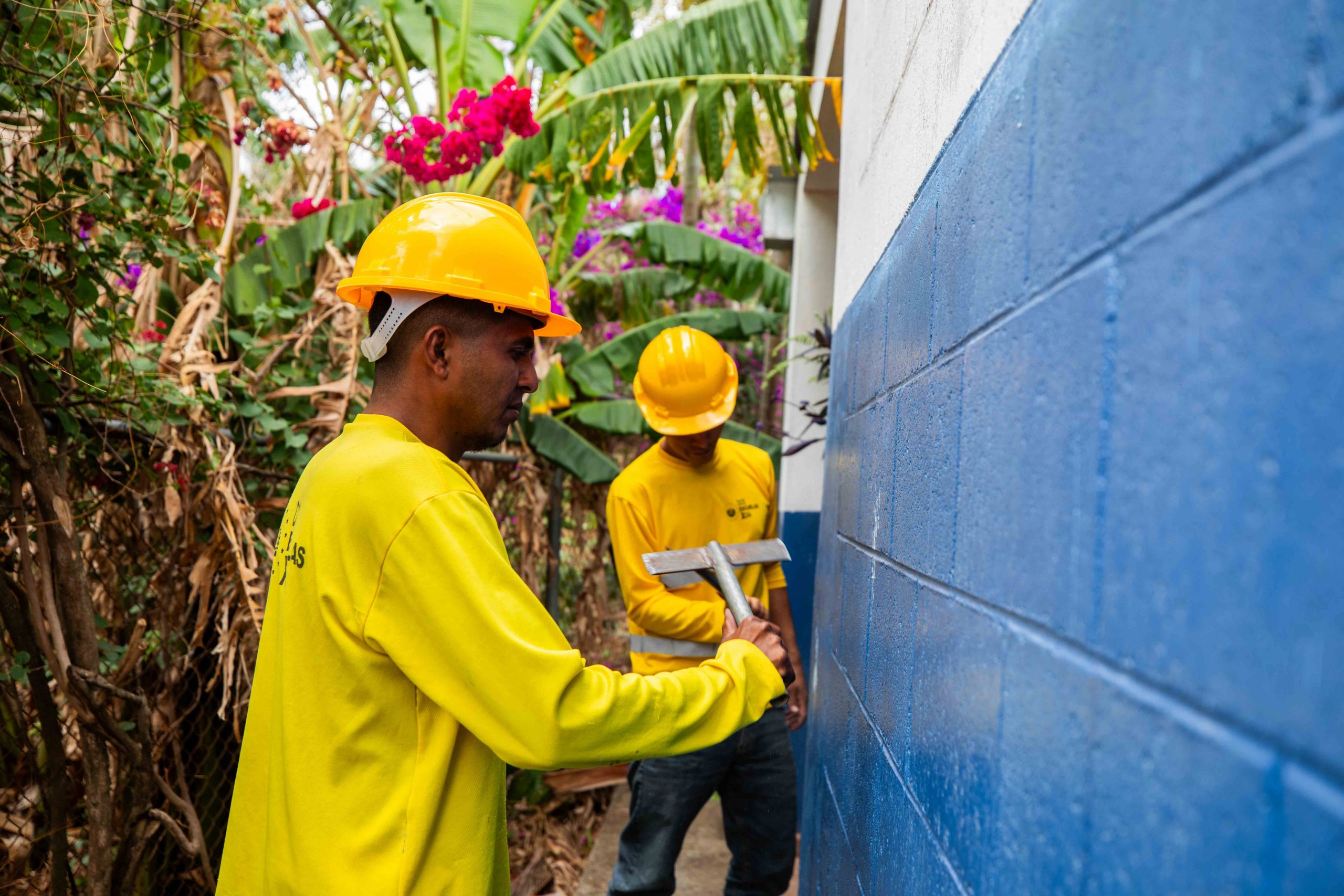 Imagen de la galería